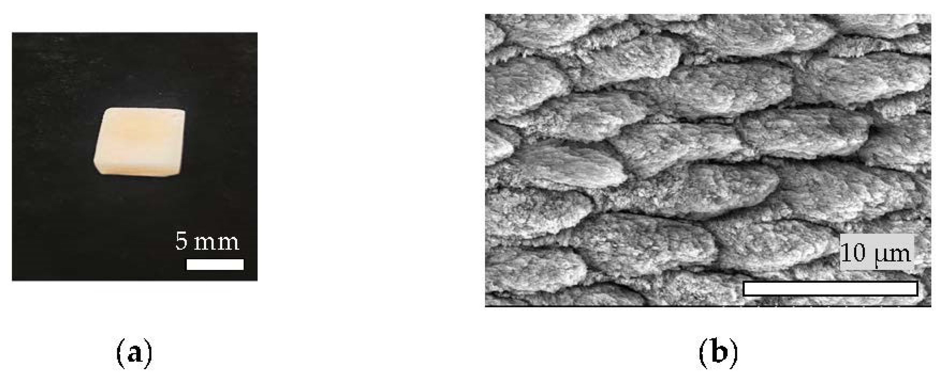 Materials 14 07475 g002 Materials 14 07475 g002