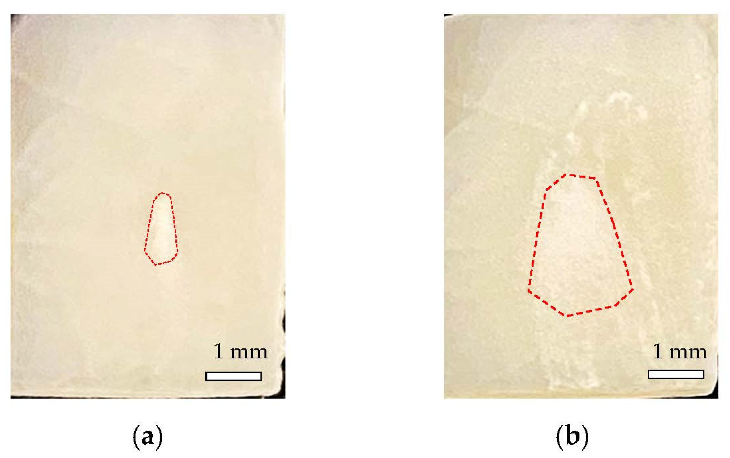 Materials 14 07475 g003 Materials 14 07475 g003