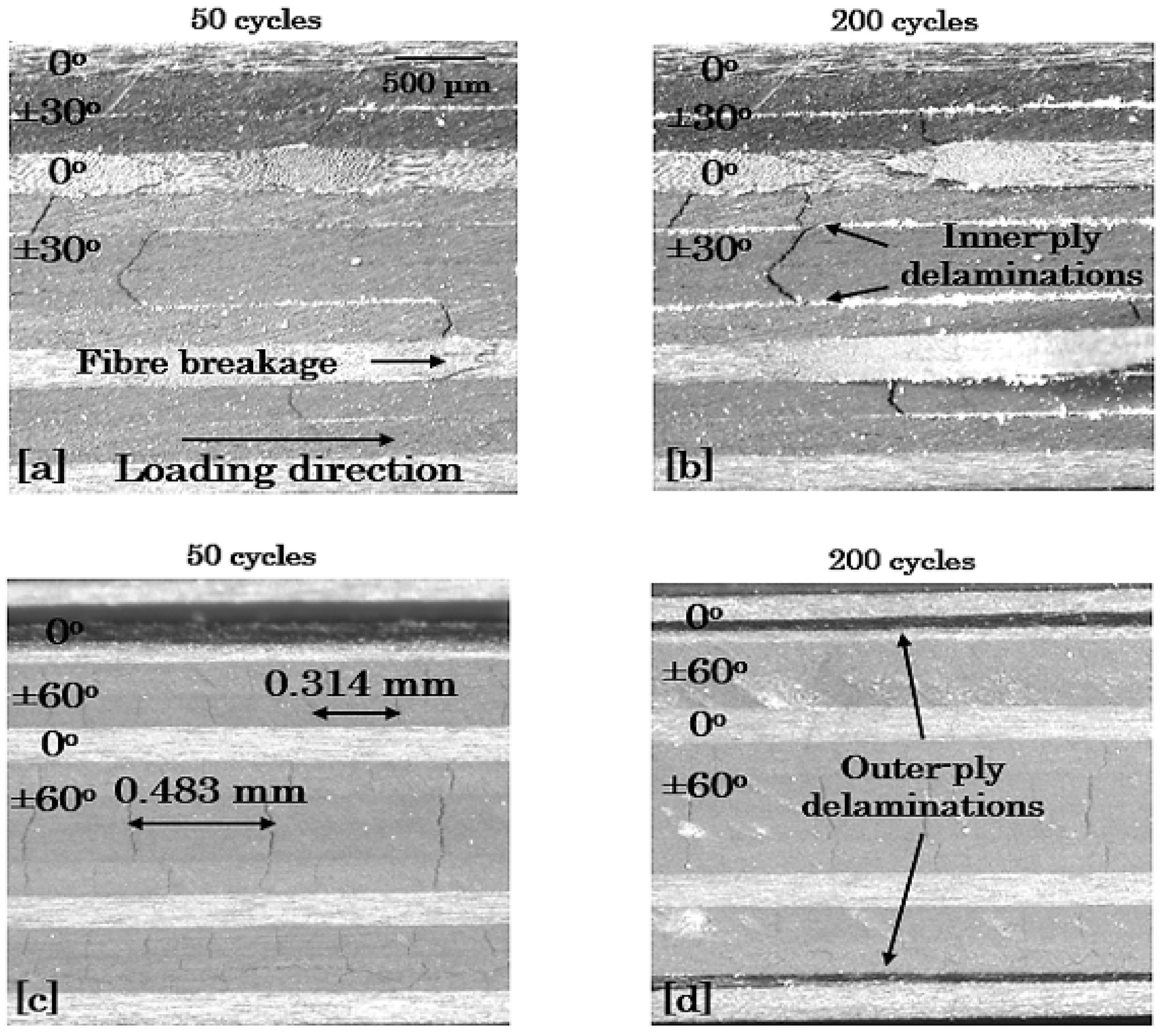 Materials 14 07494 g020