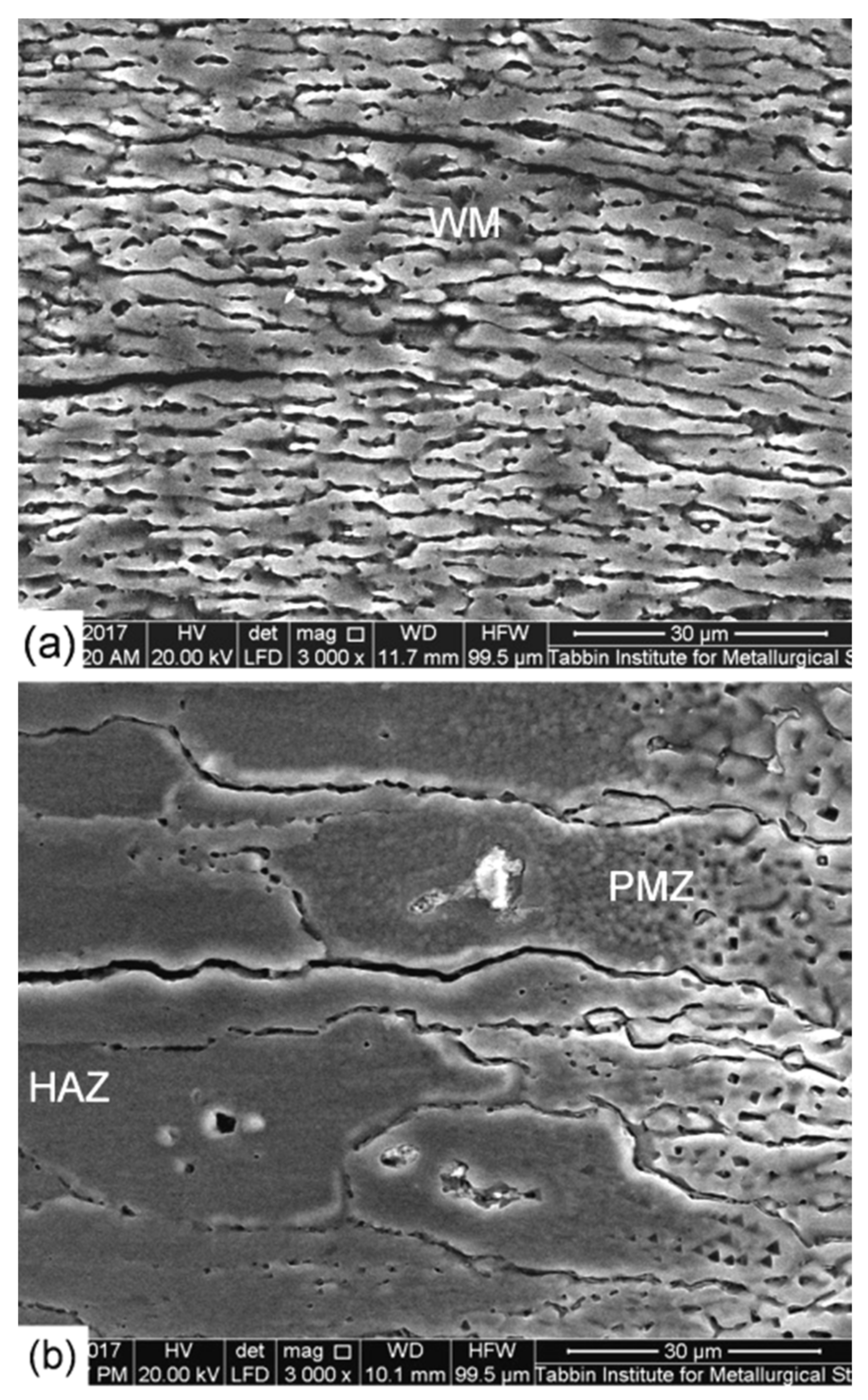 Materials 14 07498 g006