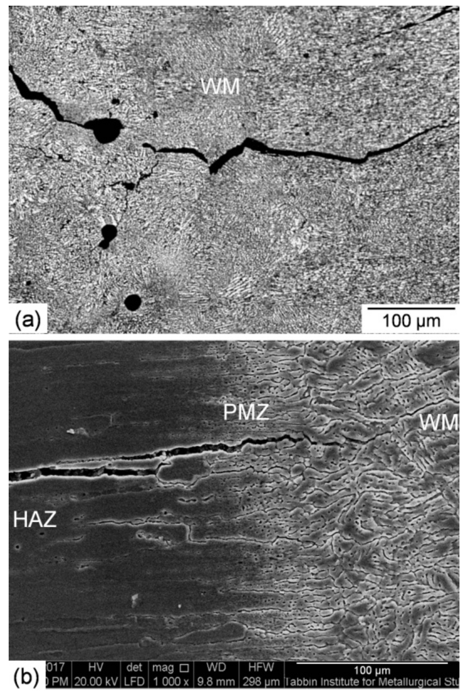 Materials 14 07498 g007
