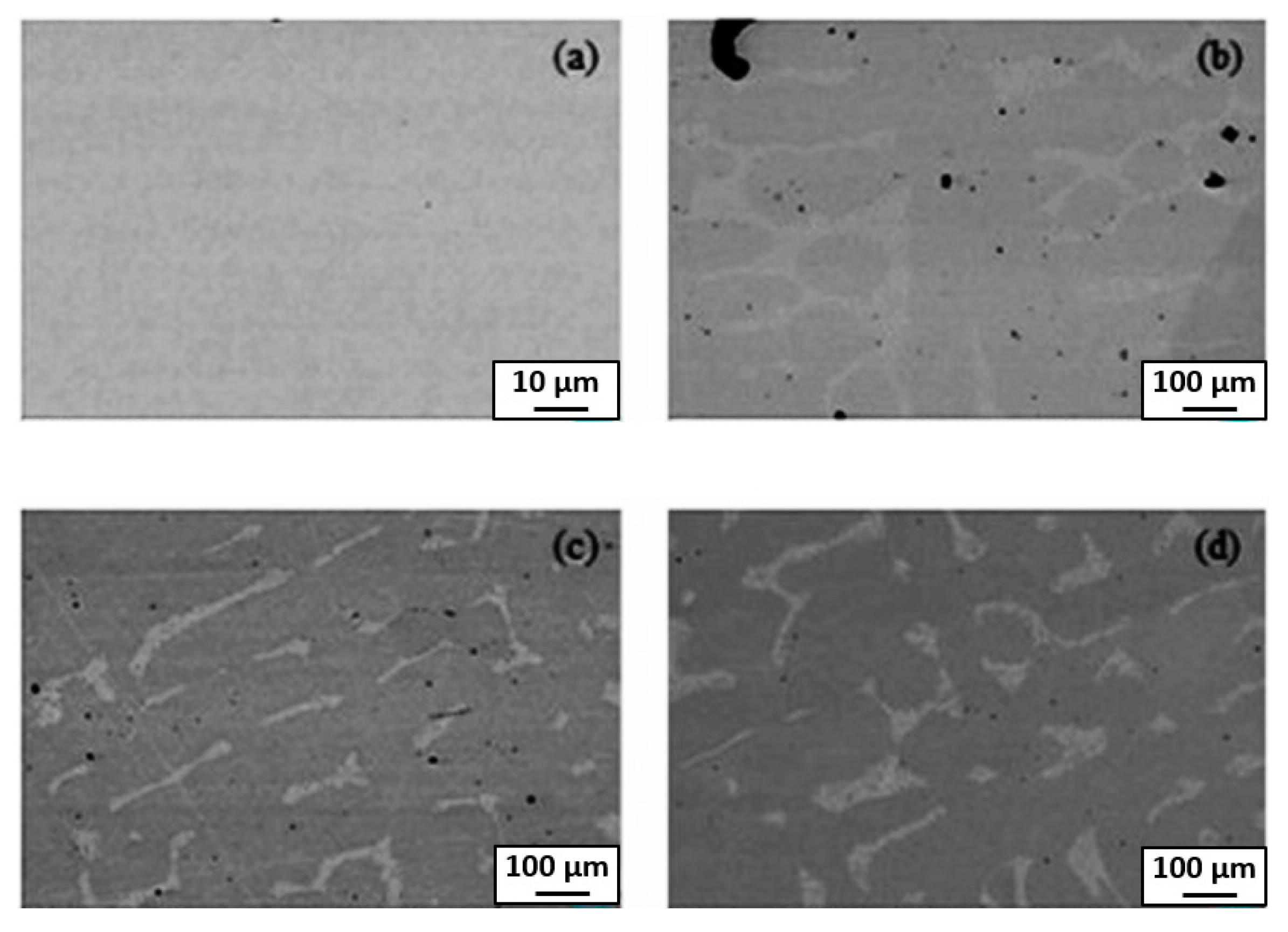 Materials 14 07506 g005