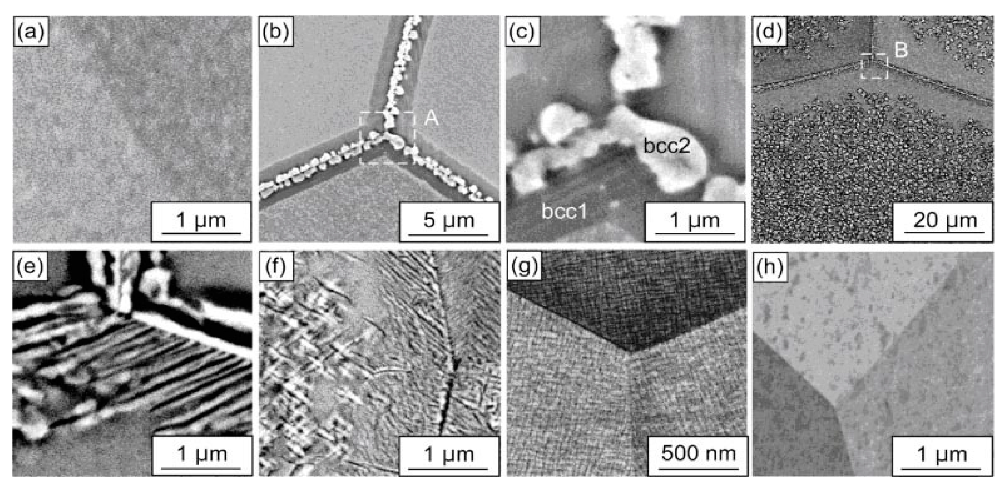 Materials 14 07506 g007