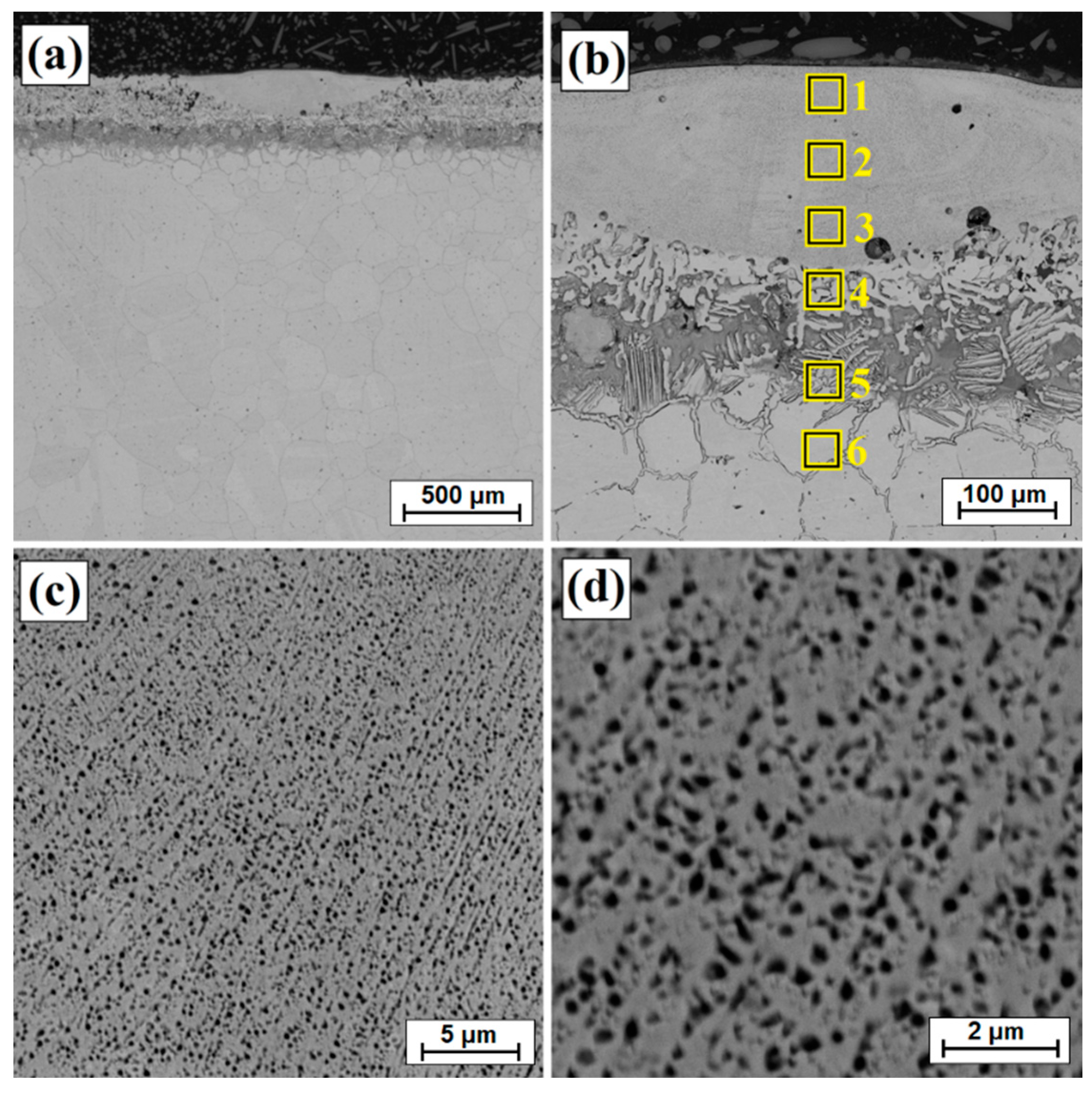 Materials 14 07529 g007