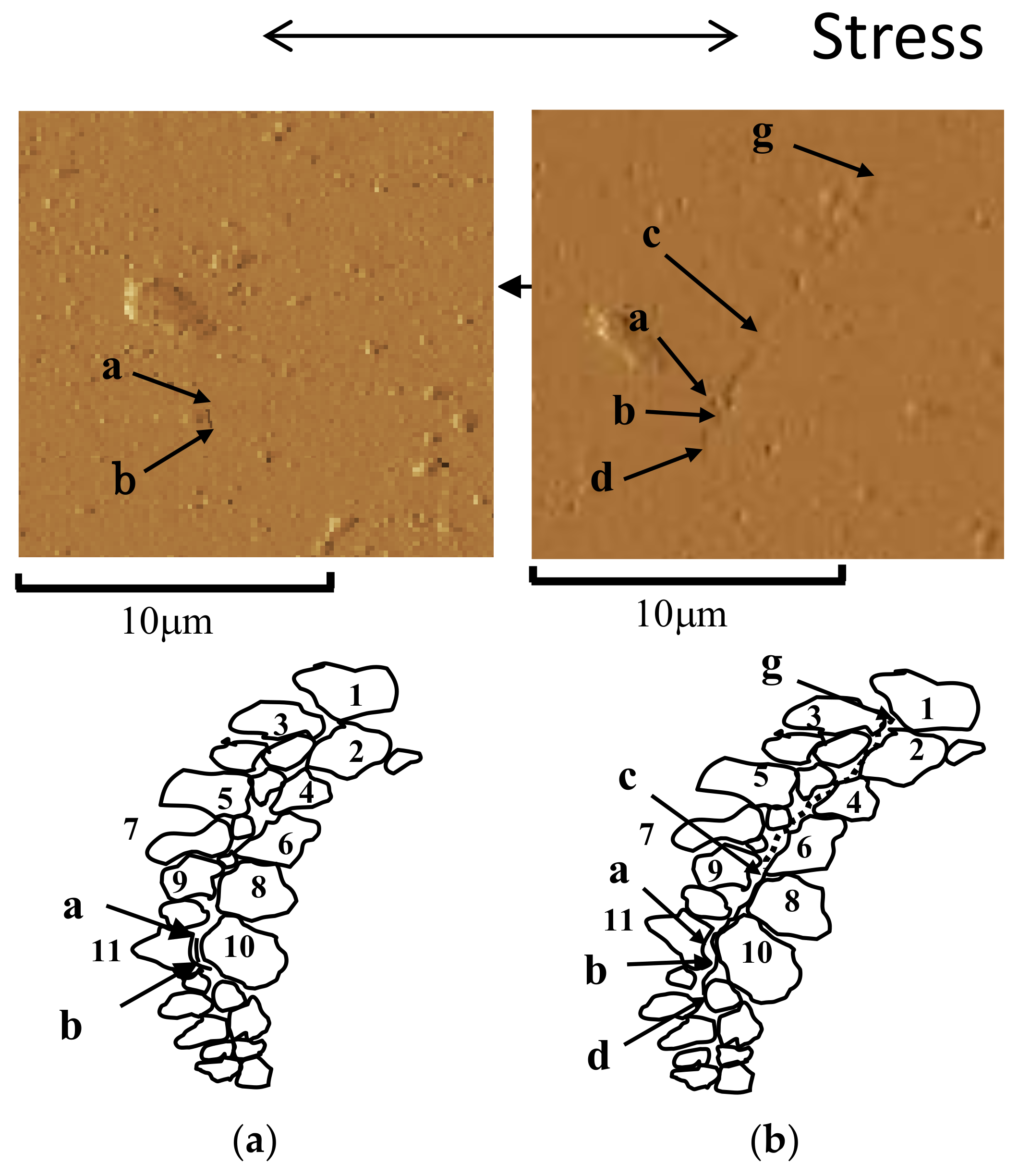 Materials 14 07538 g005