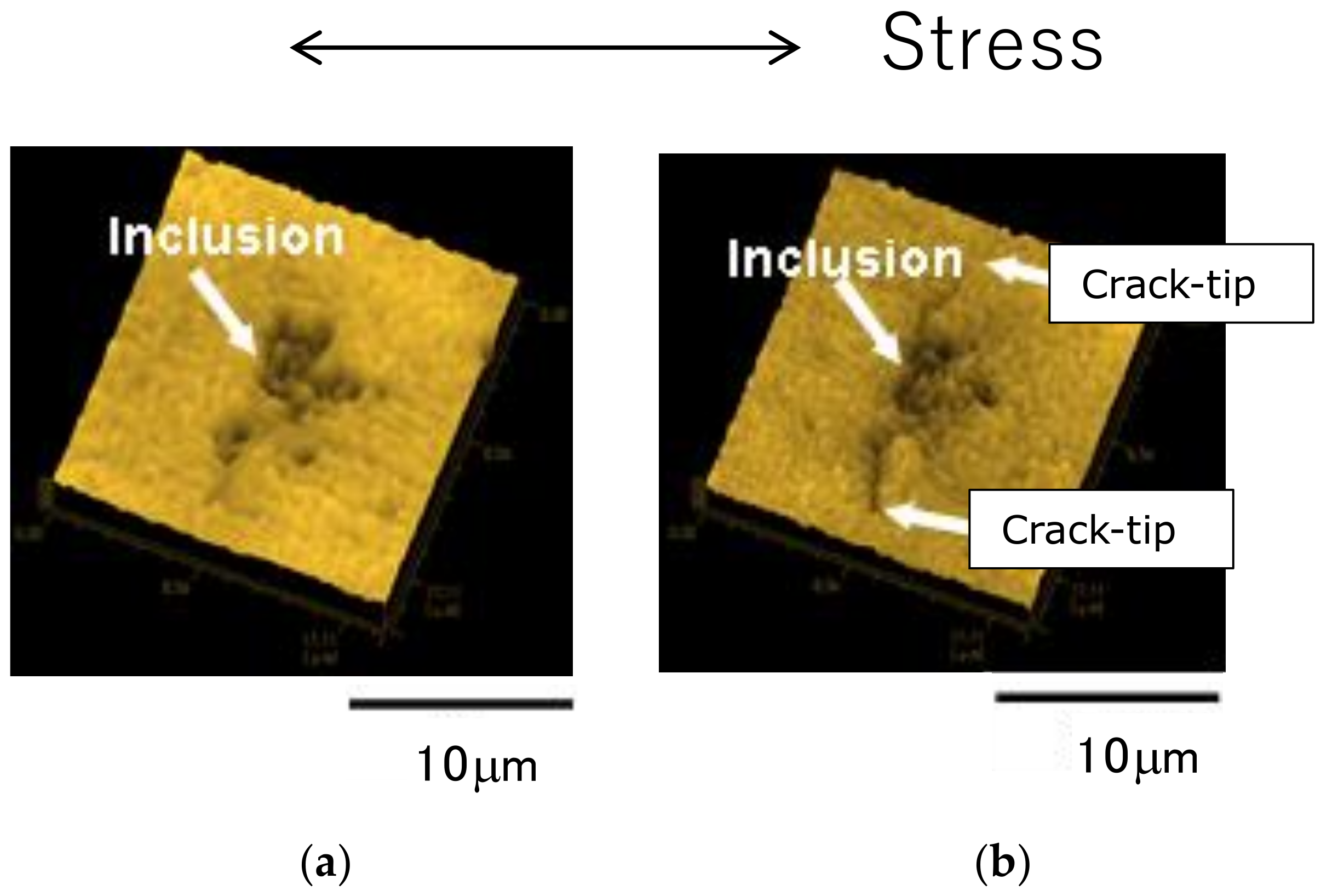 Materials 14 07538 g006