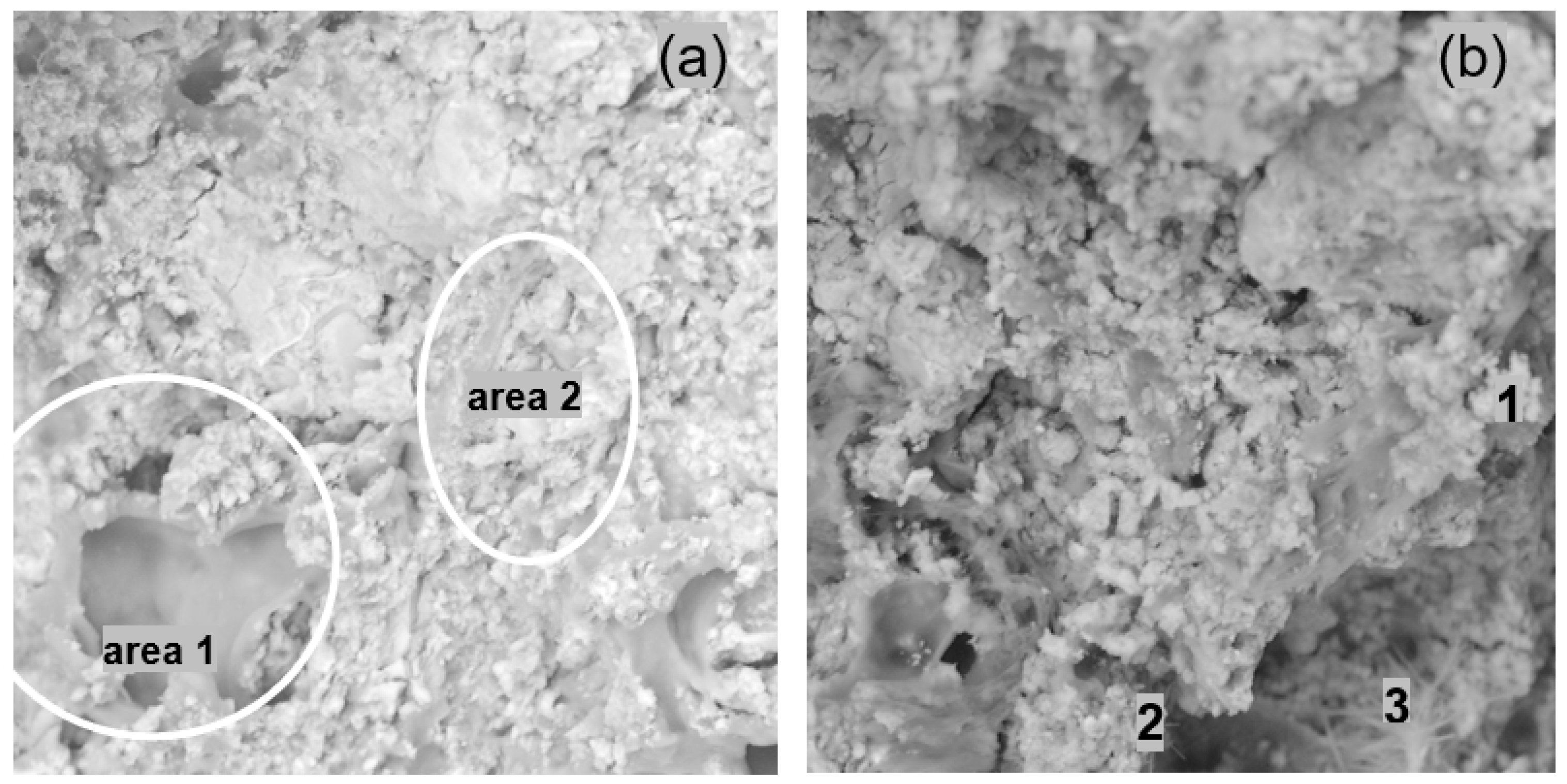 Materials 14 07558 g010