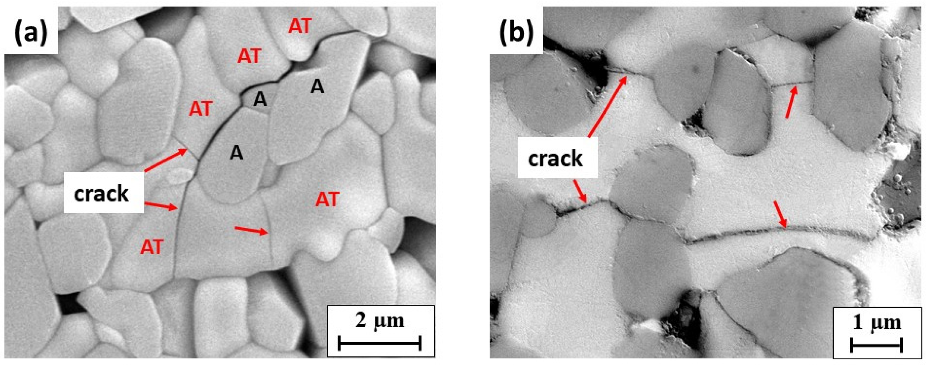 Materials 14 07624 g004