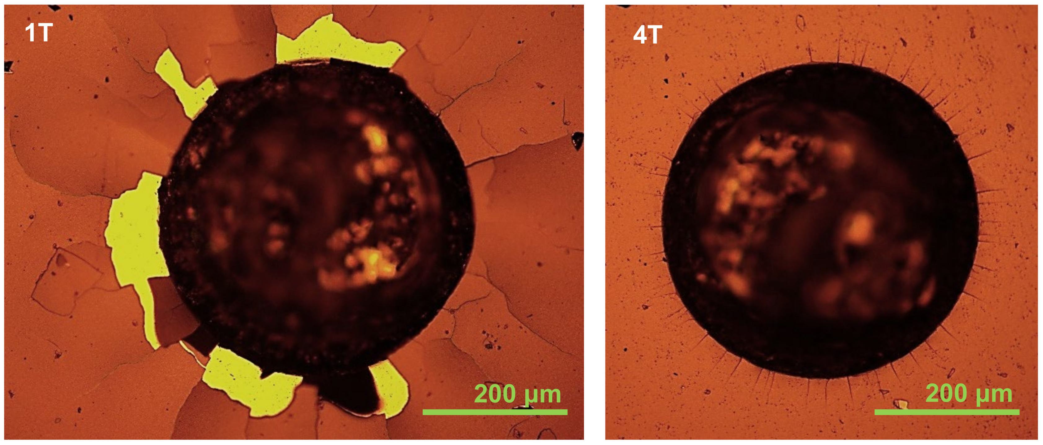 Materials 14 07694 g002