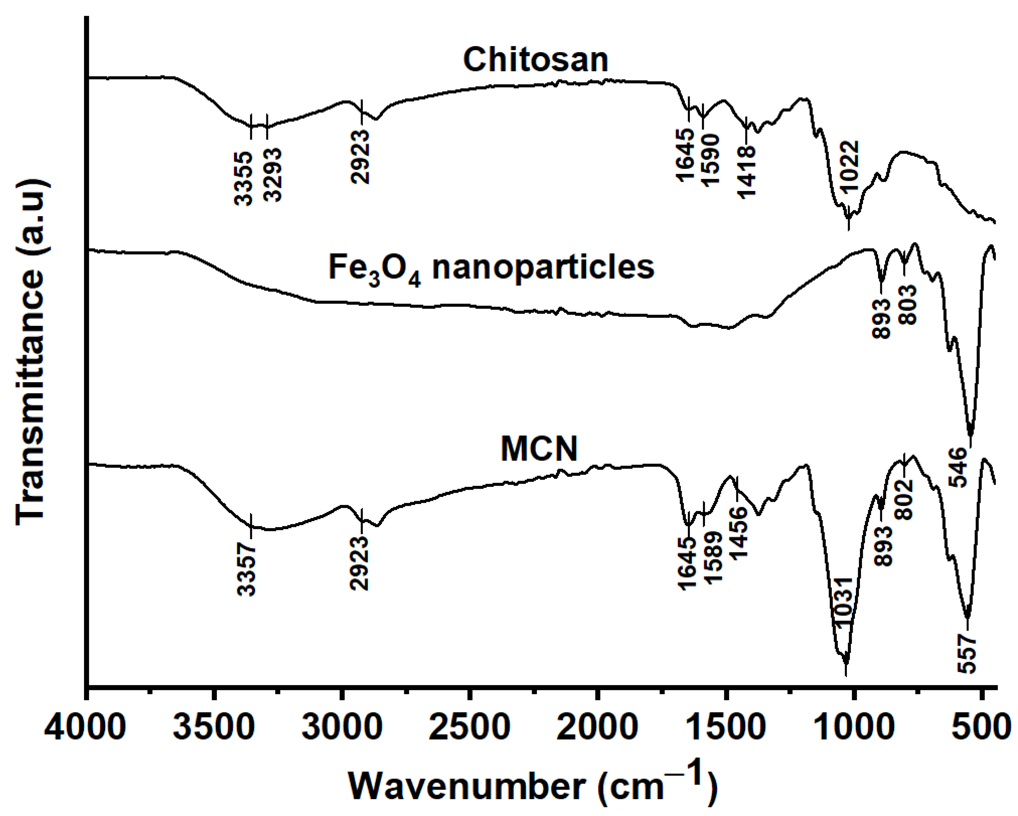 Magnetic Nanocomposites Containing Low and Medium-Molecular Weight Chitosan  for Dye Adsorption: Hydrophilic Property Versus Functional Groups