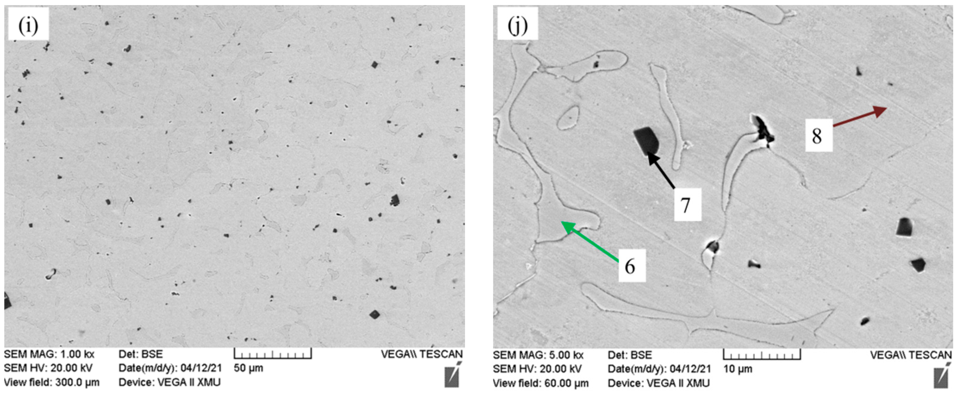 Materials 14 07722 g003b