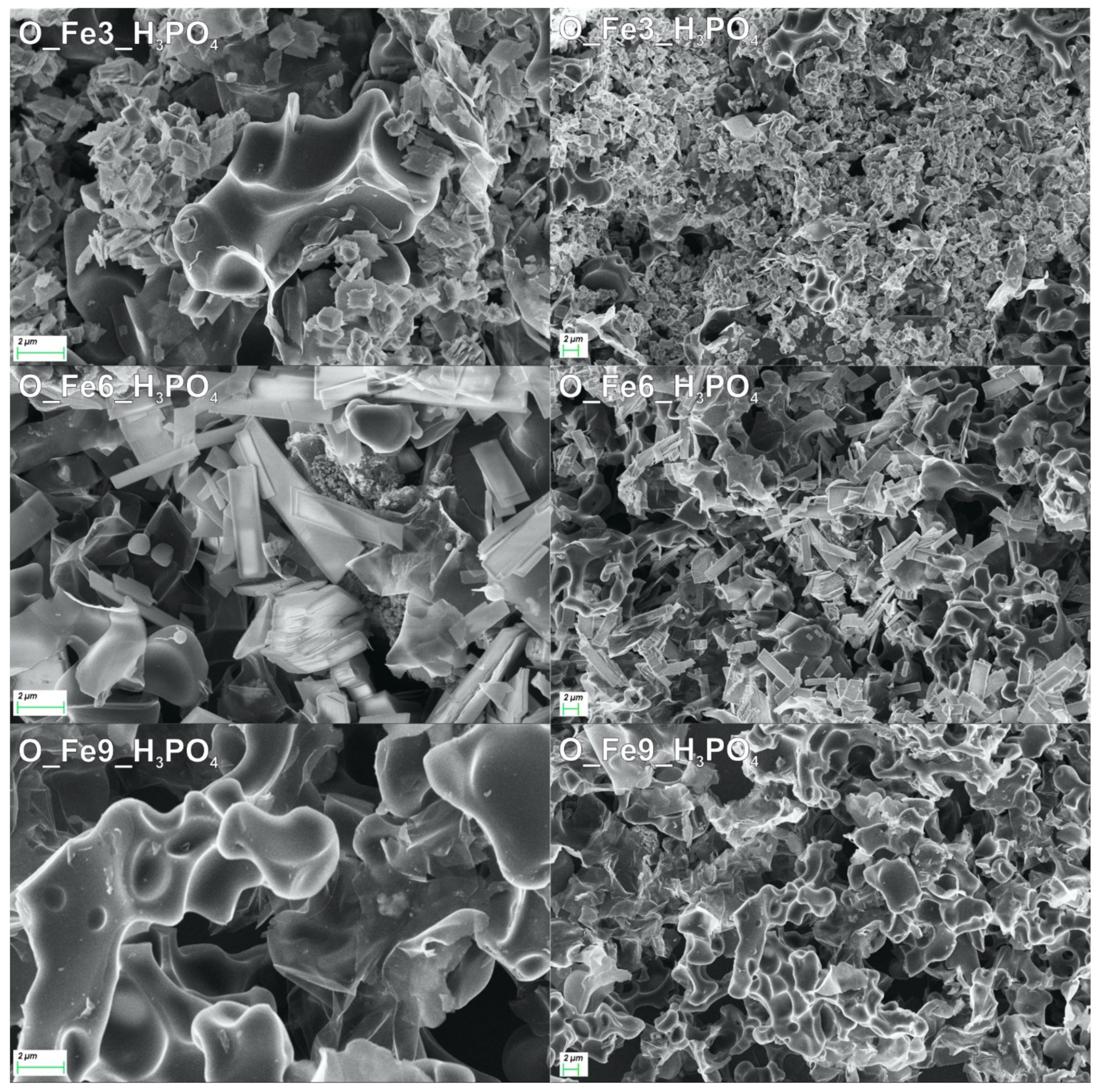 Materials 14 07729 g005