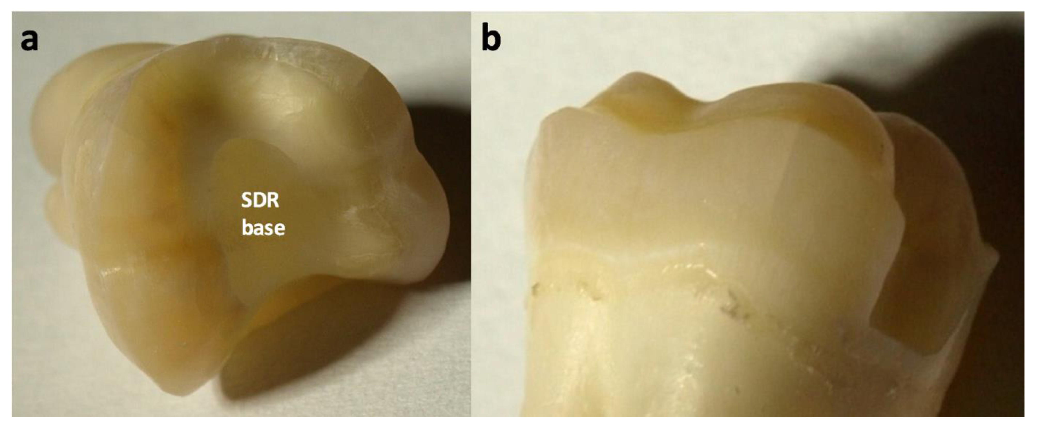 Materials 14 07733 g004