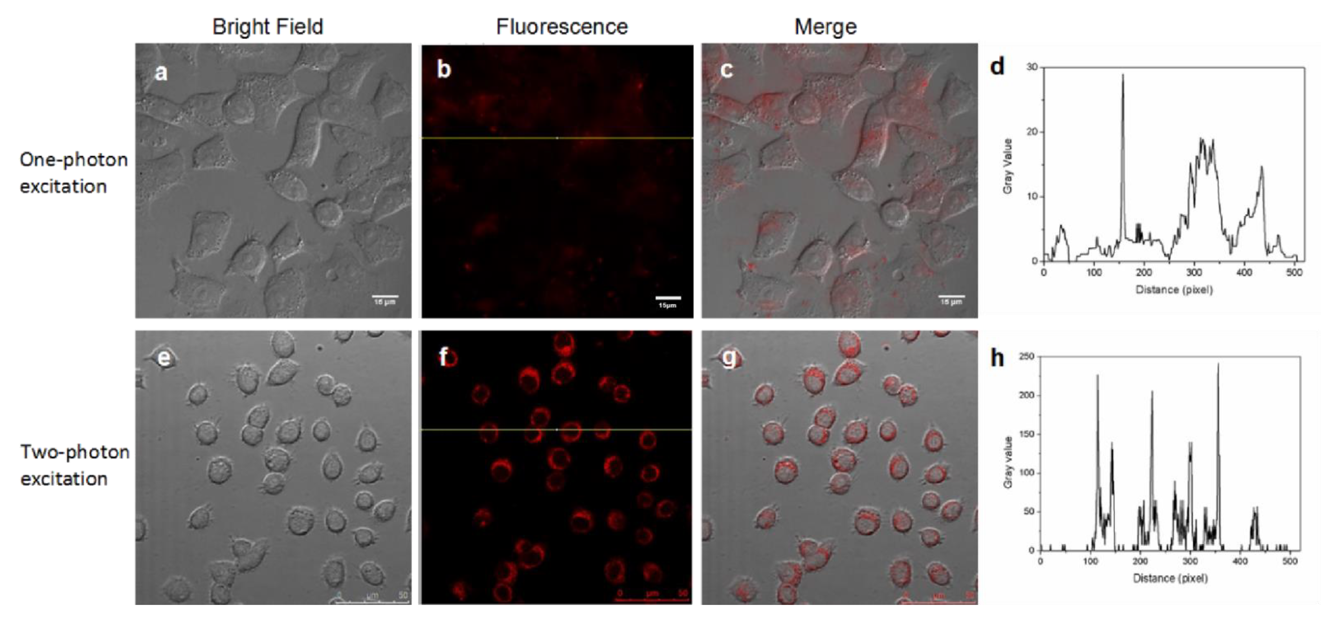 Materials 14 07744 g006