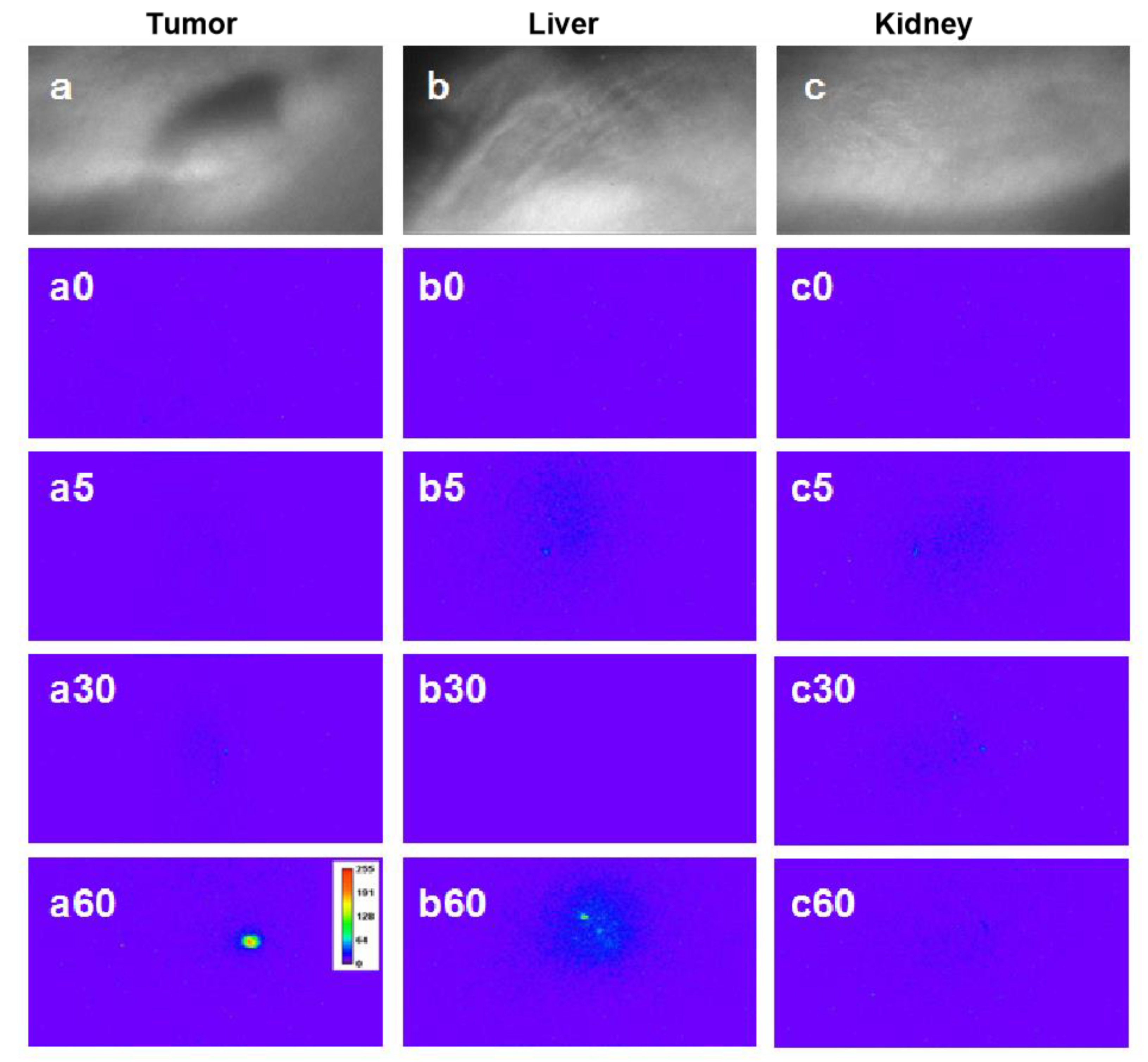 Materials 14 07744 g007