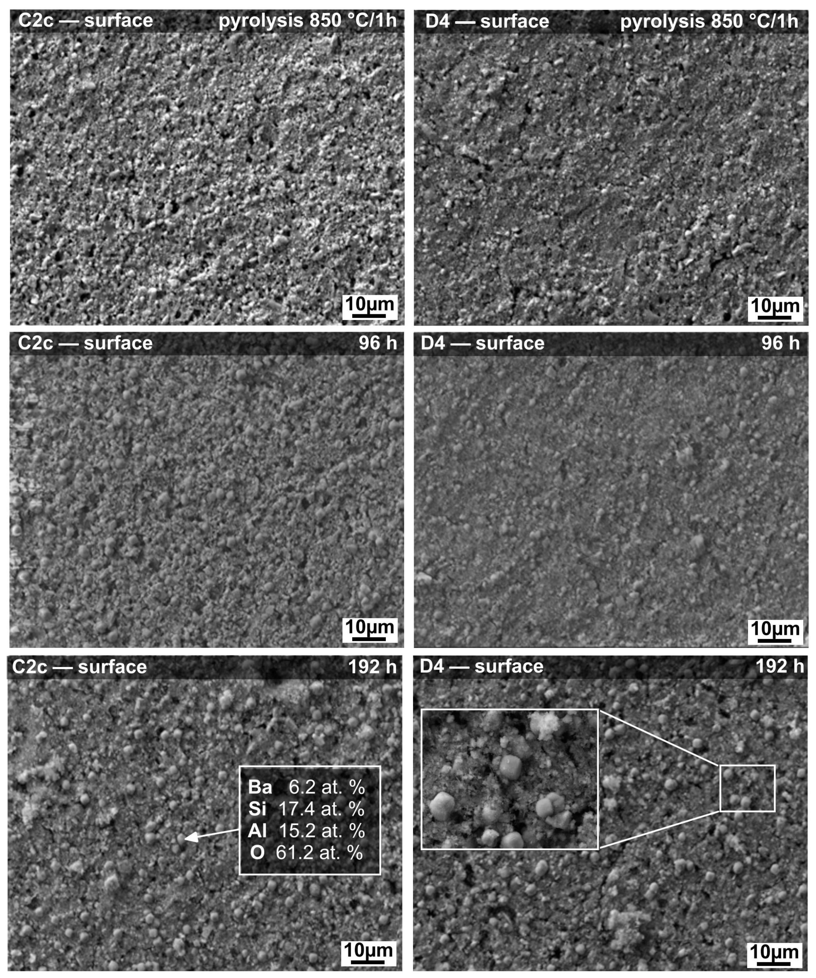 Materials | Free Full-Text | Hydrothermal Corrosion of Double Layer  Glass/Ceramic Coatings Obtained from Preceramic Polymers
