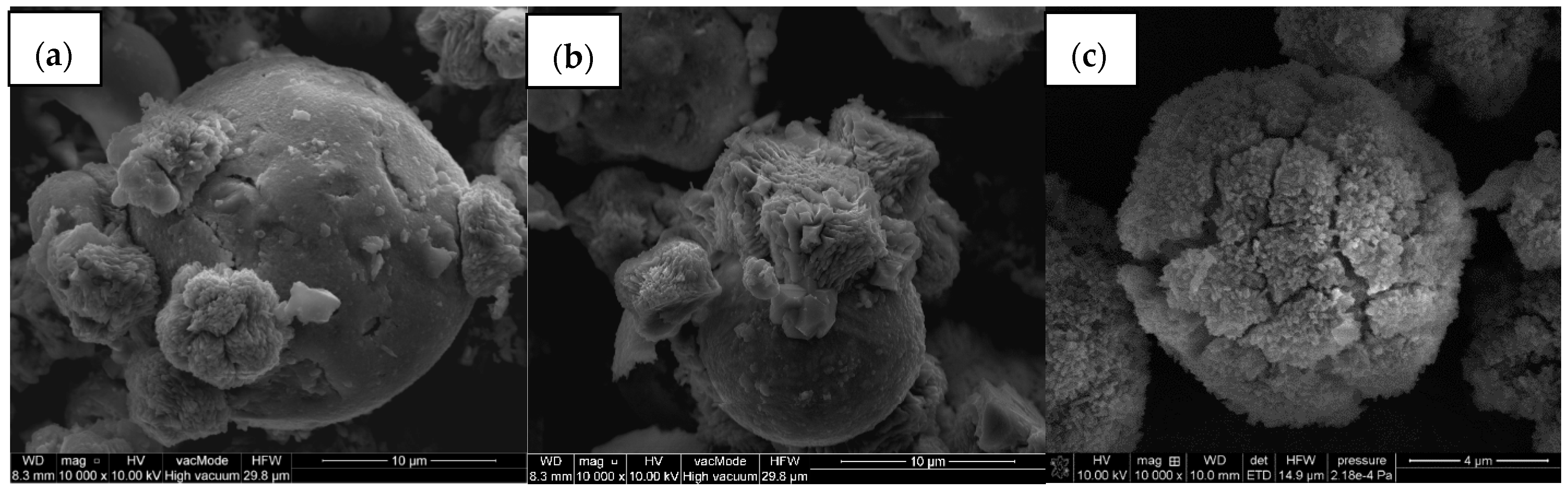 Materials 14 07817 g004 Materials 14 07817 g004
