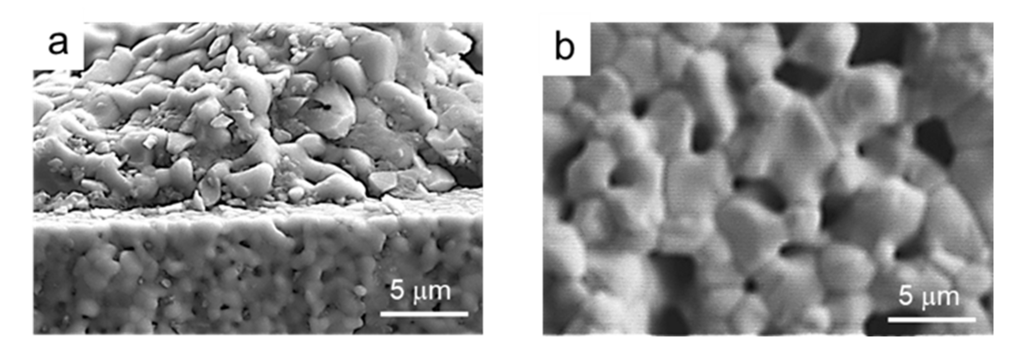 Materials 14 07831 g013