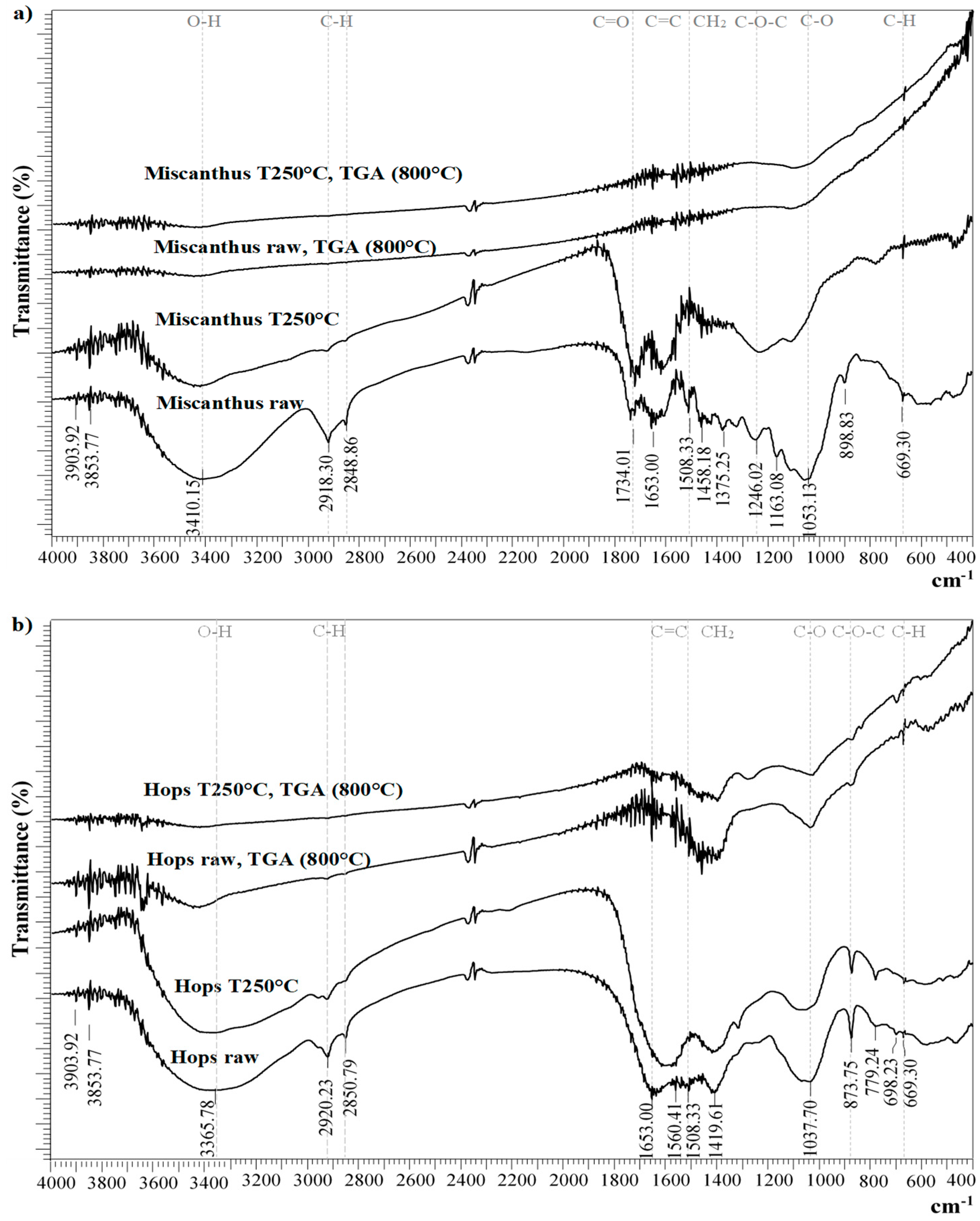 Torrefaction for the Pyrolysis of Industrial Kraft Lignin: Physicochemical  Characterization and Kinetic Triplet Determination