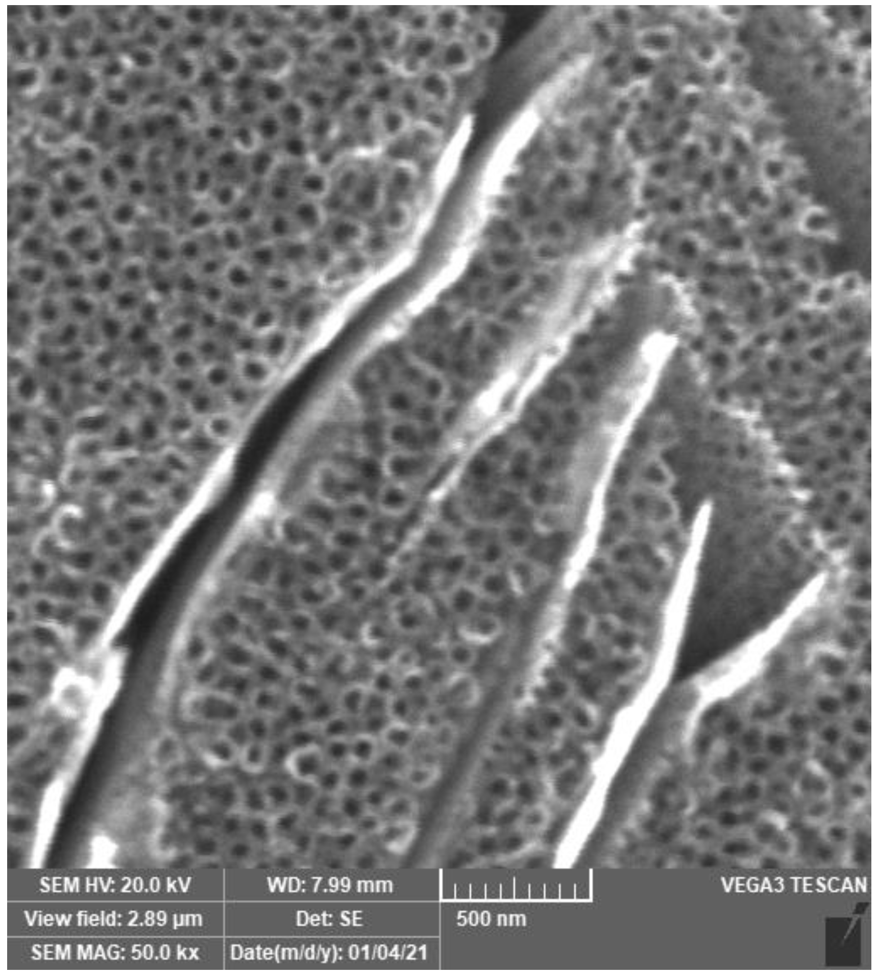 Materials 14 07912 g001