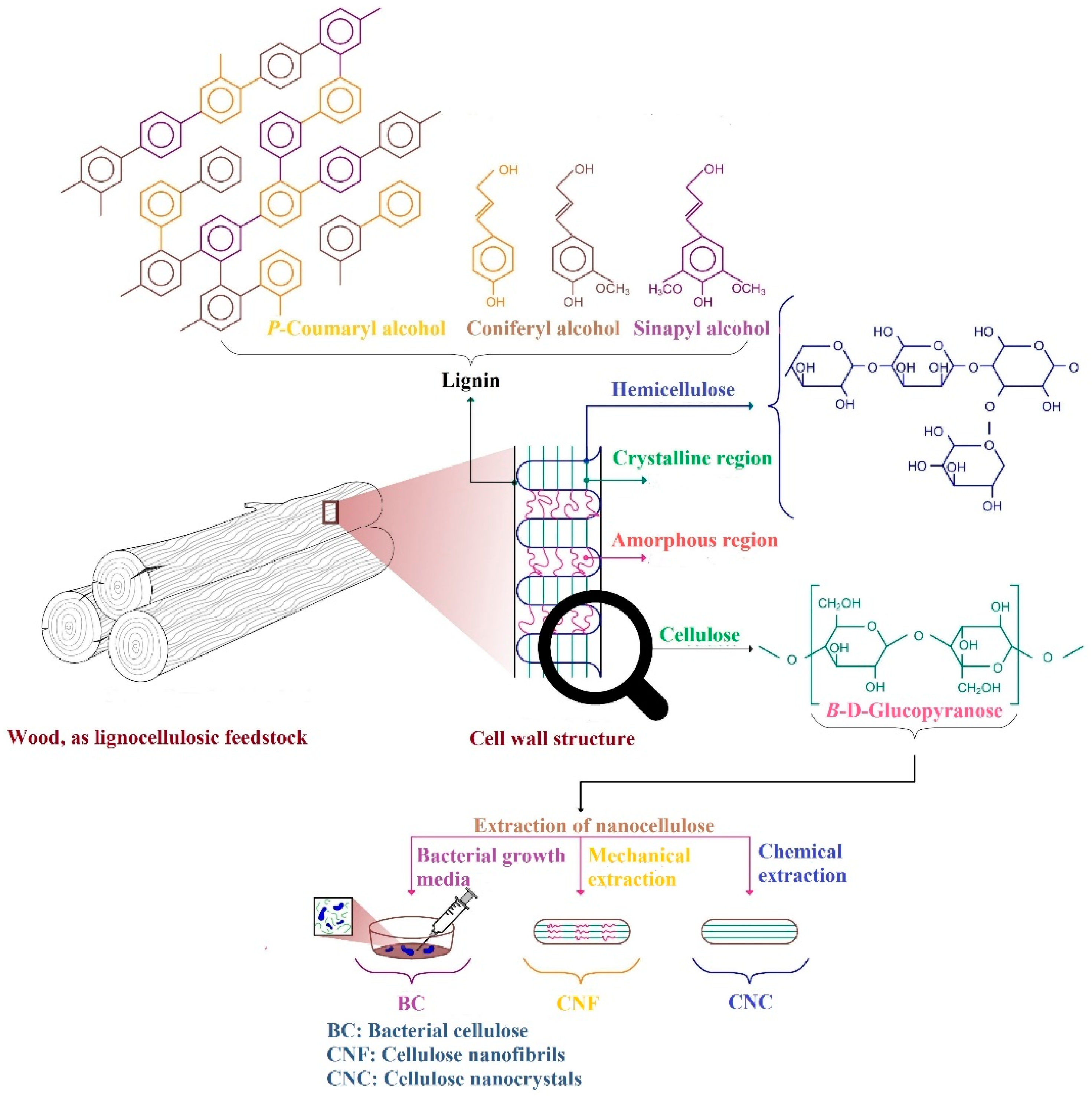 Materials 15 00082 g004
