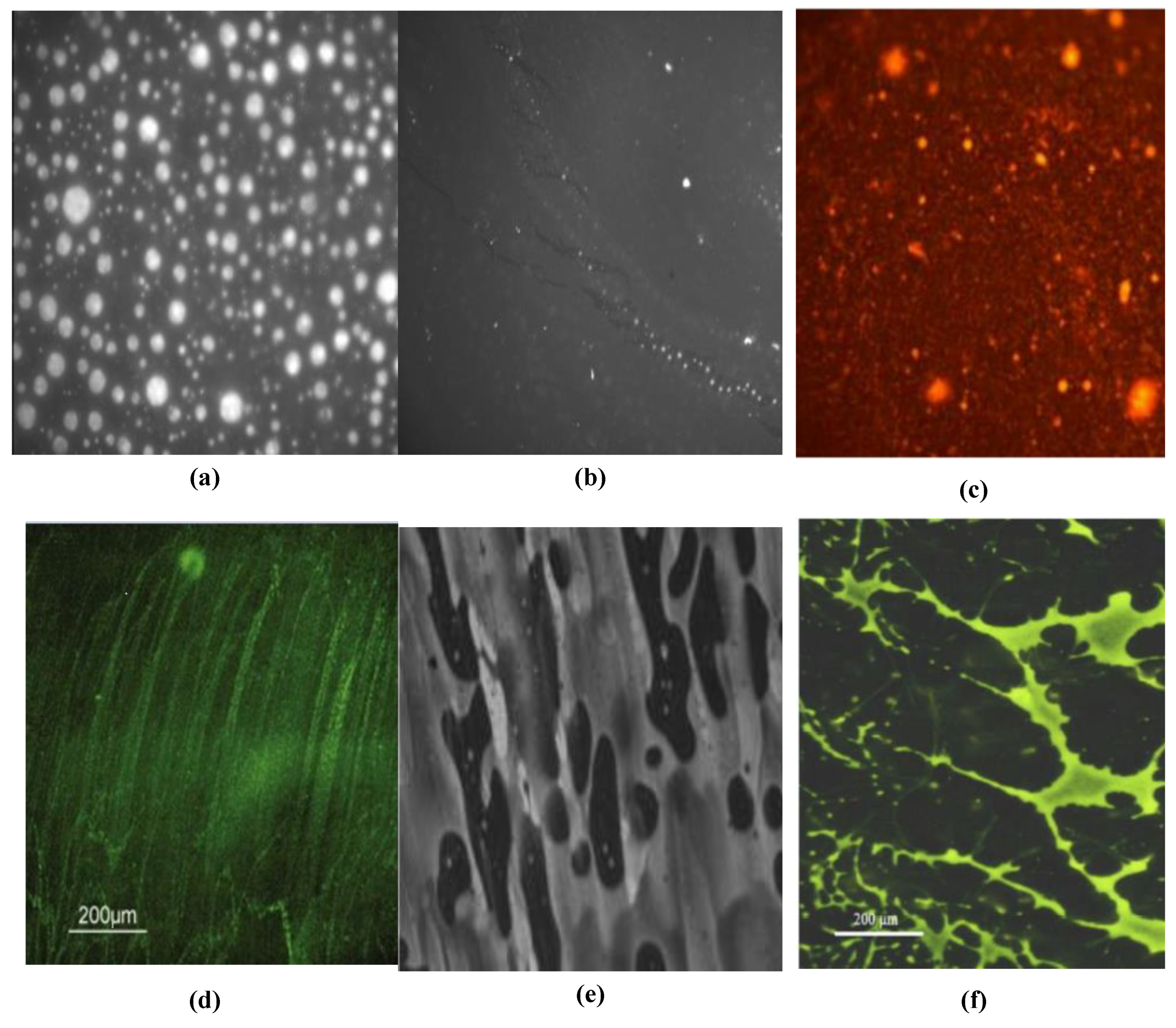 Materials 15 00110 g005