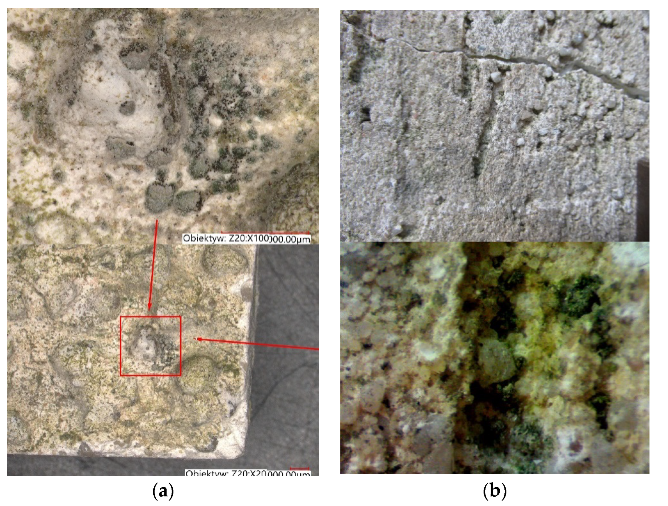 Materials 15 00127 g004