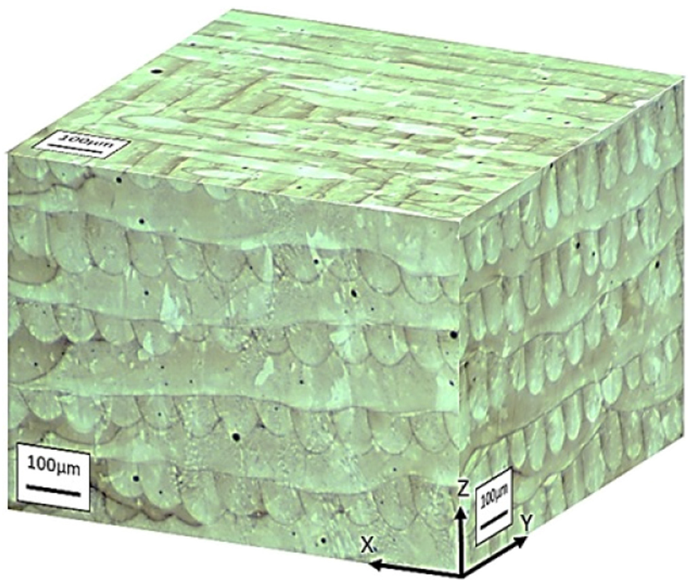 Materials 15 00200 g010