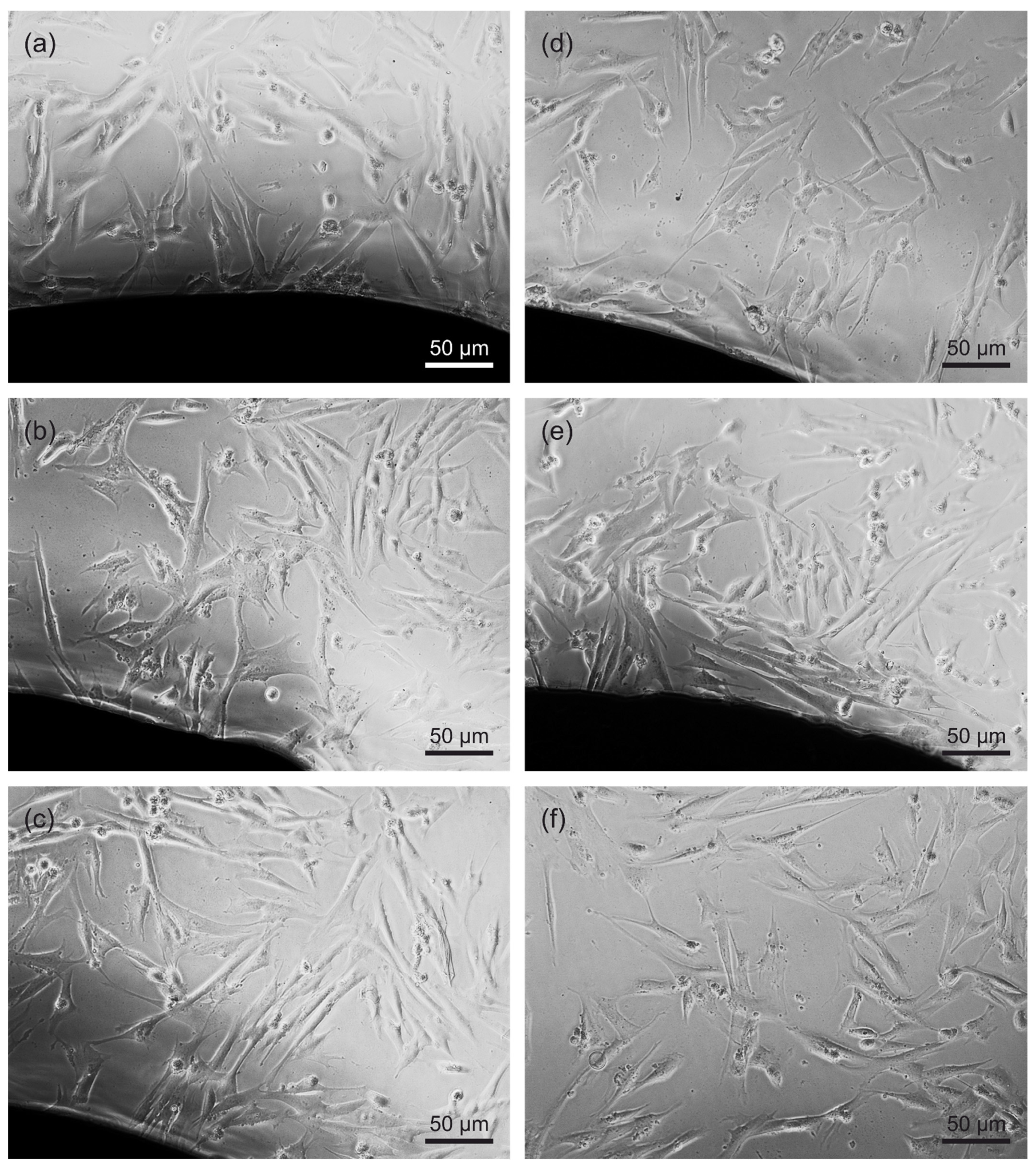 Materials 15 00252 g006