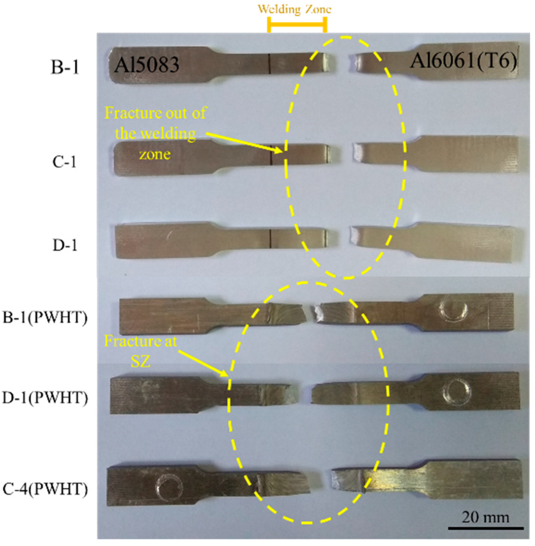 Materials 15 00288 g007