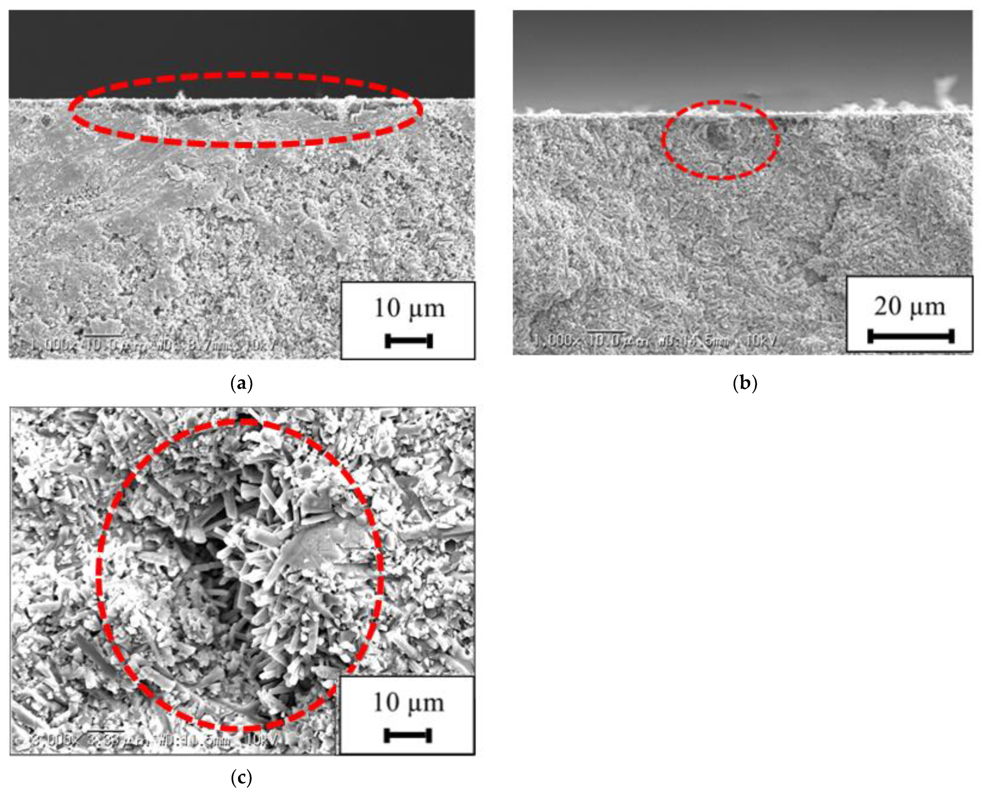Materials 15 00315 g011