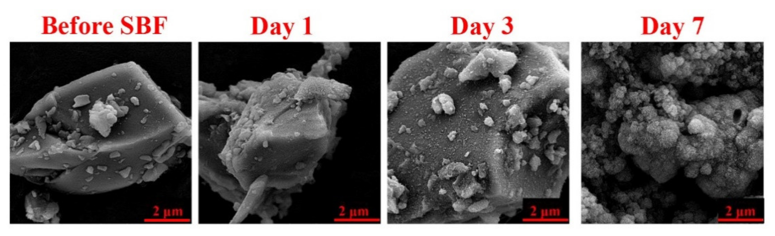 Materials 15 00318 g004
