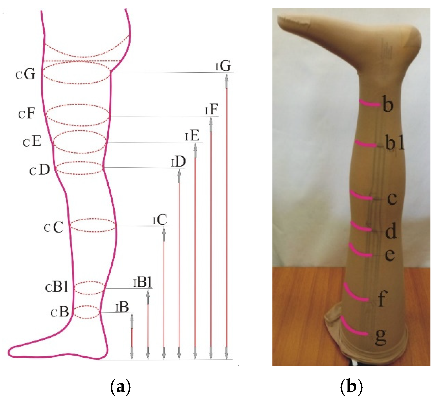 Materials | Free Full-Text | The Structure and Compression of Medical  Compression Stockings