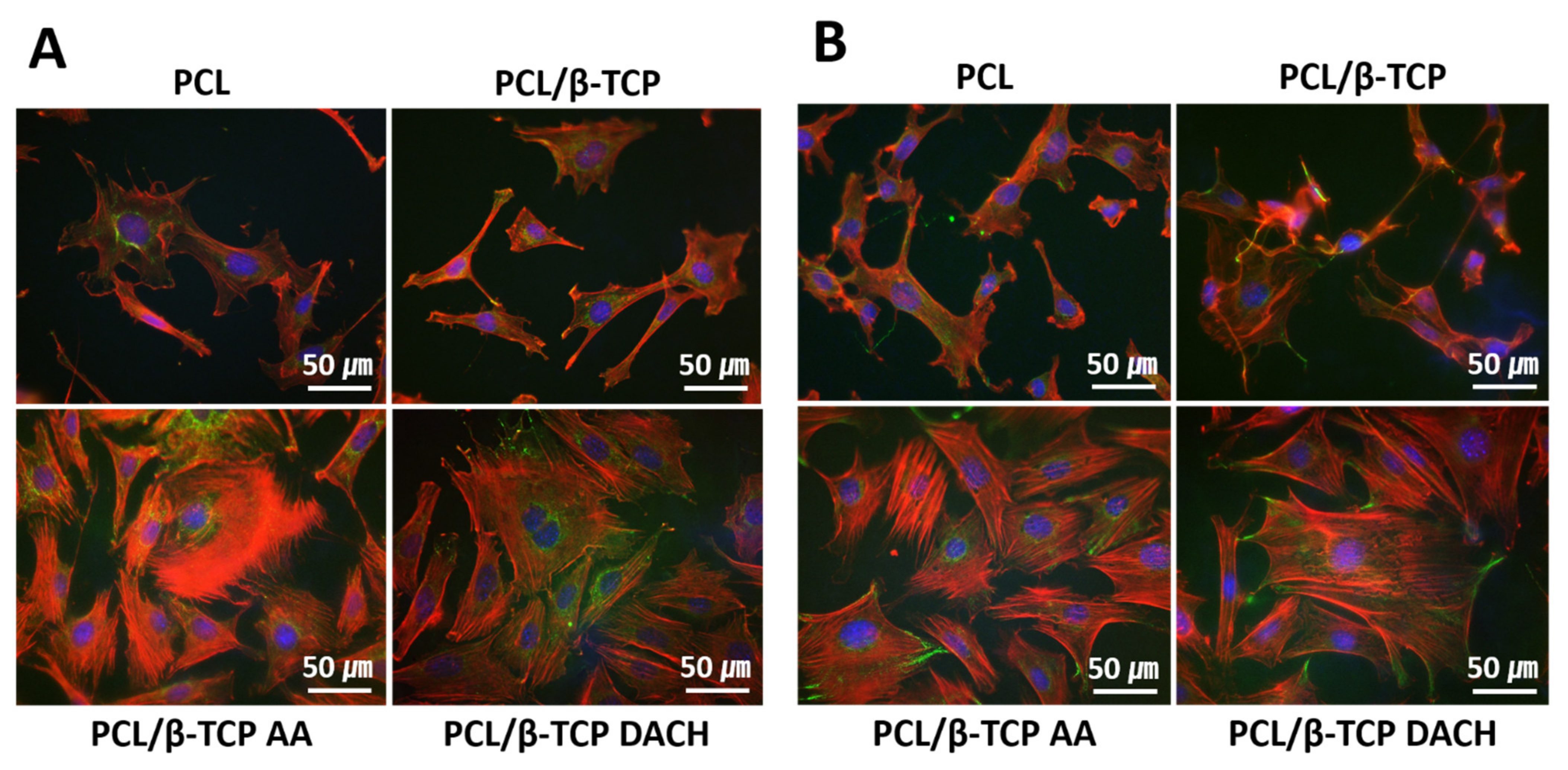 Materials 15 00366 g010