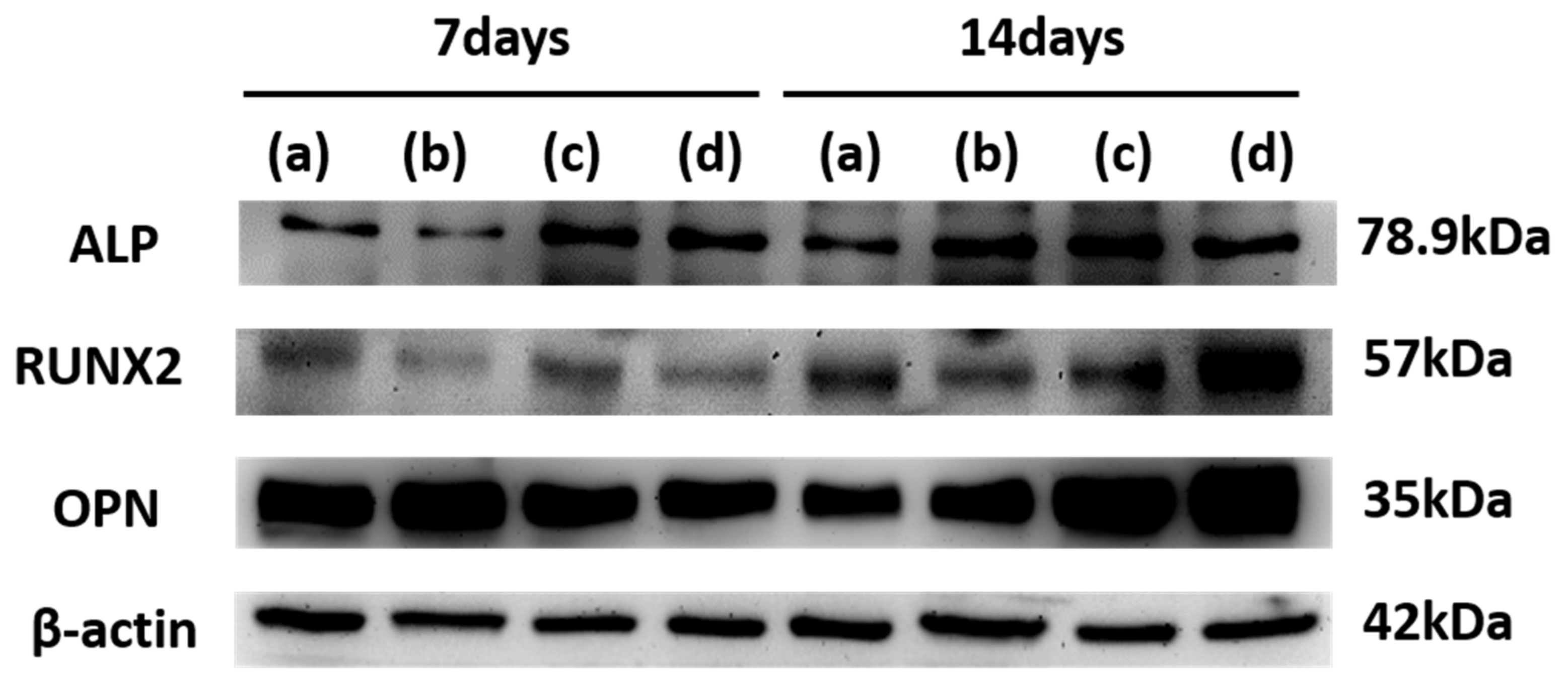 Materials 15 00366 g013