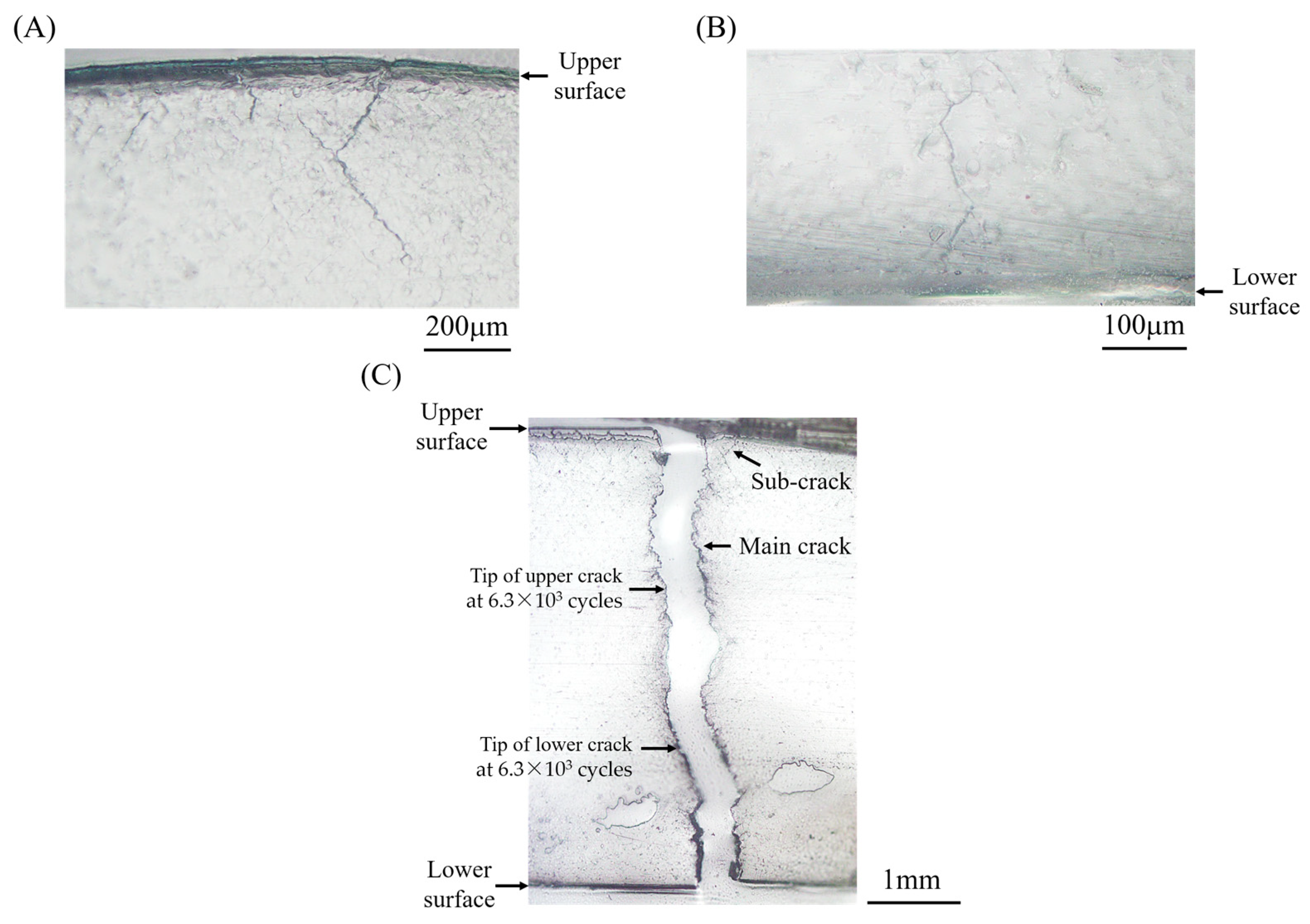 Materials 15 00445 g006