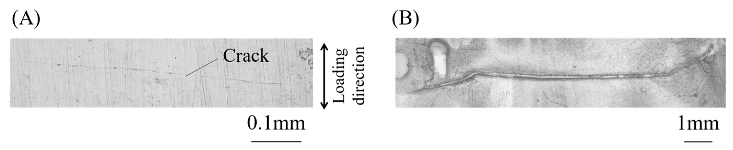 Materials 15 00445 g007