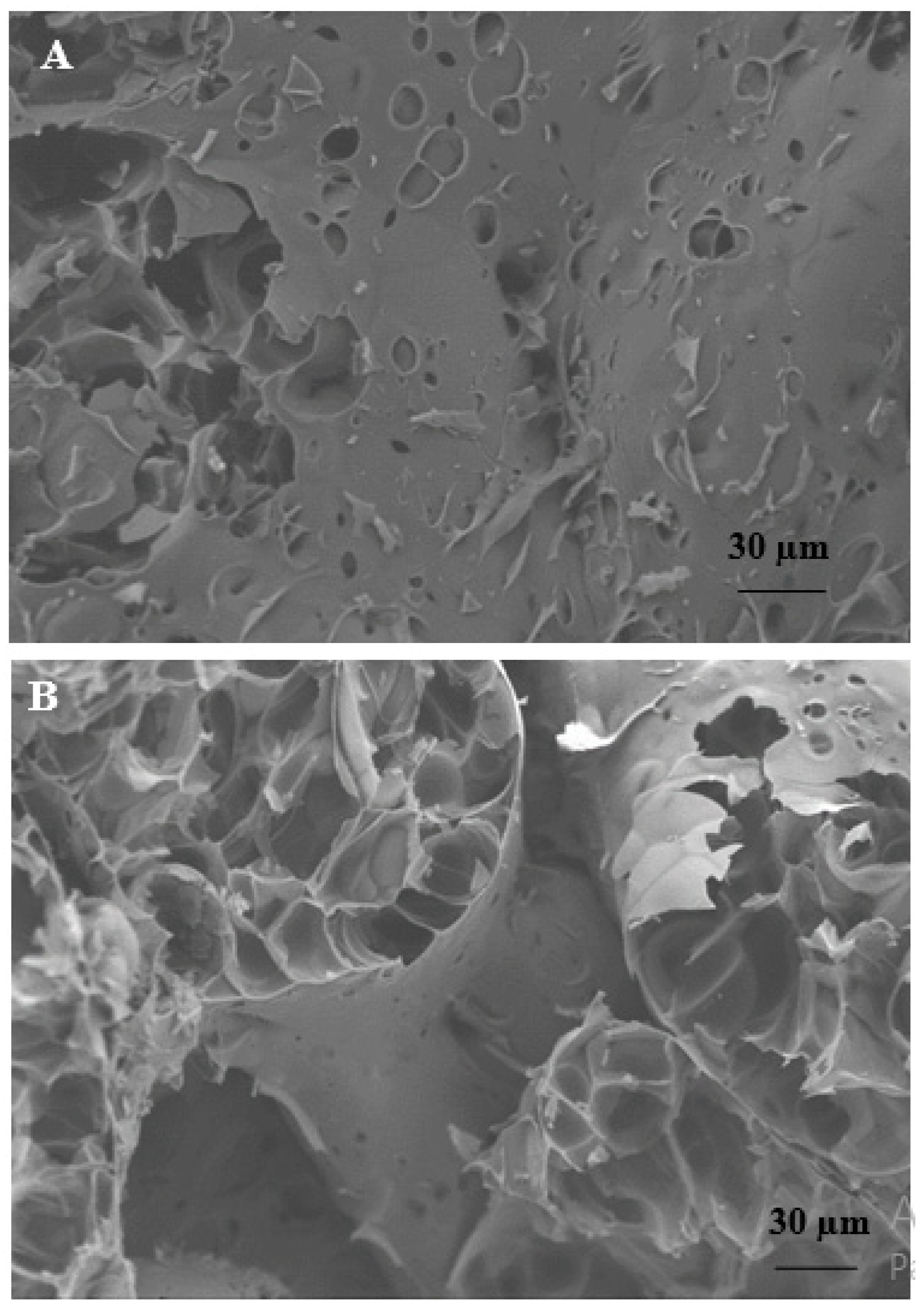 Materials 15 00453 g002