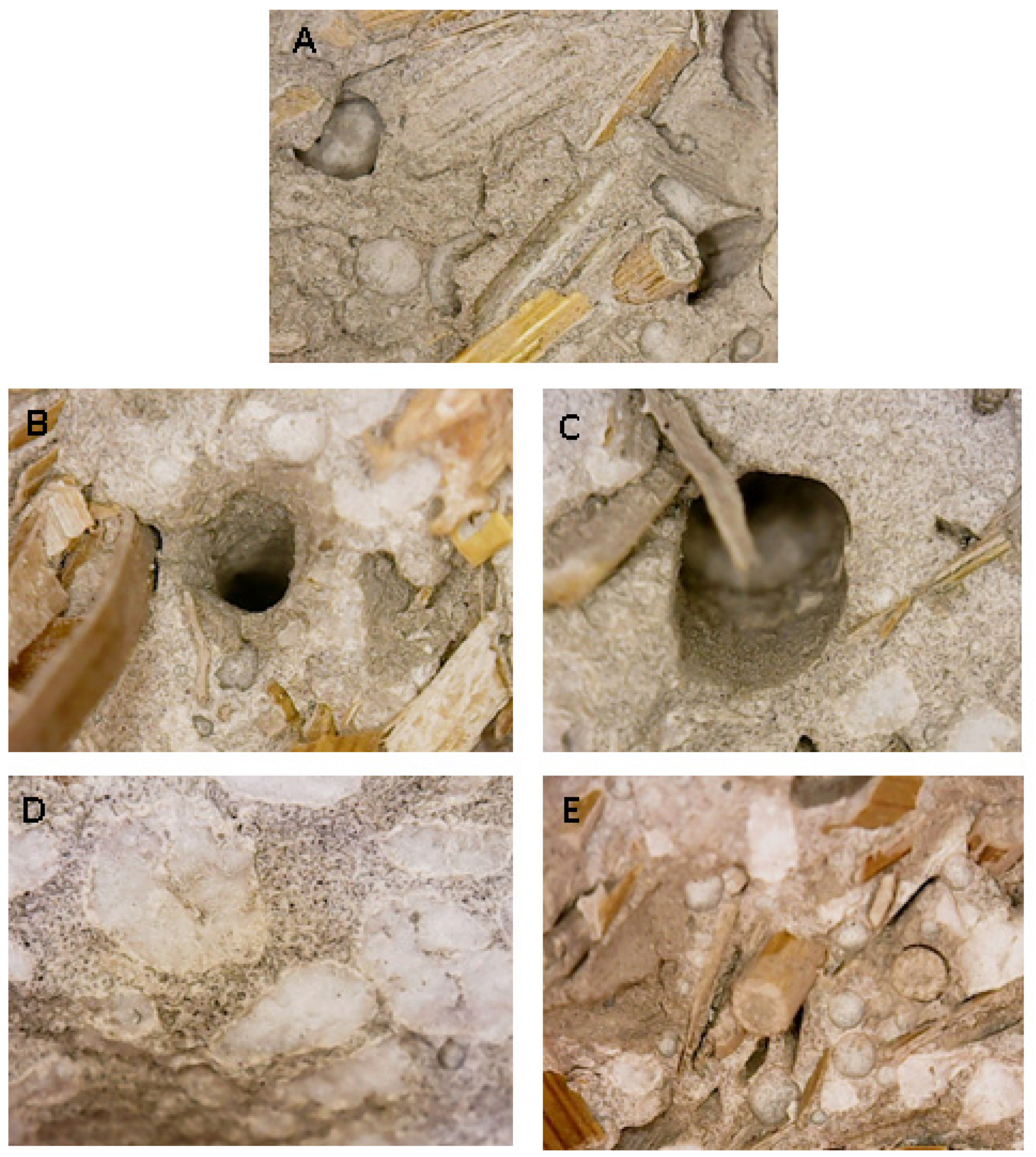 Materials 15 00453 g009