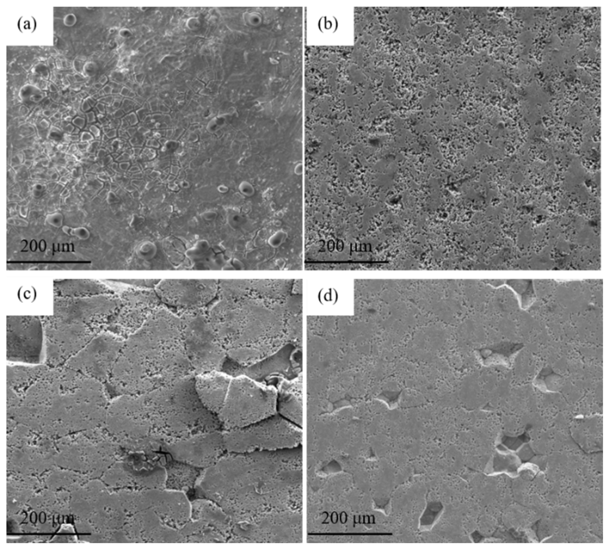 Materials 15 00477 g006