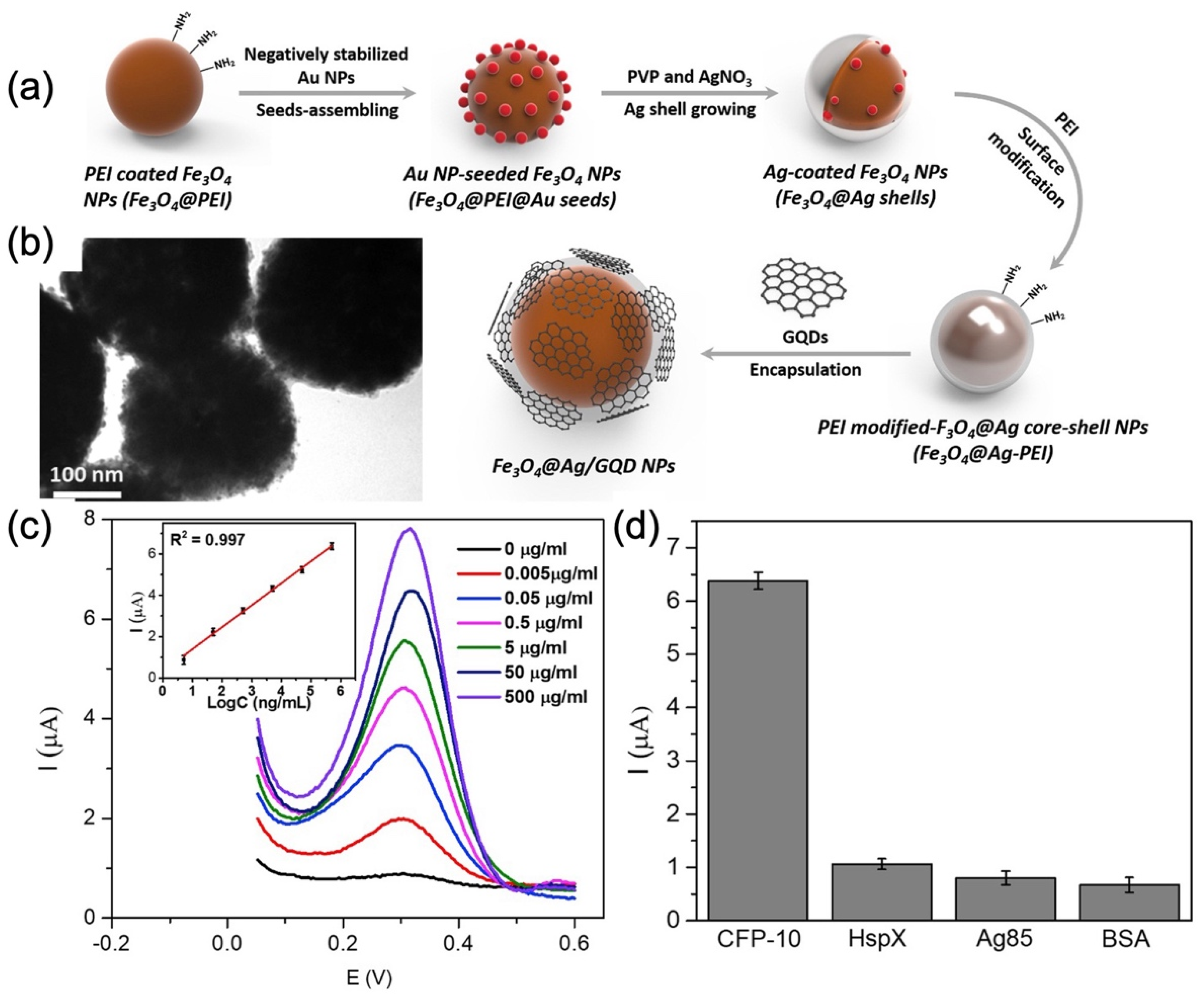 Materials | Free Full-Text | Multifunctional Iron Oxide Magnetic ...