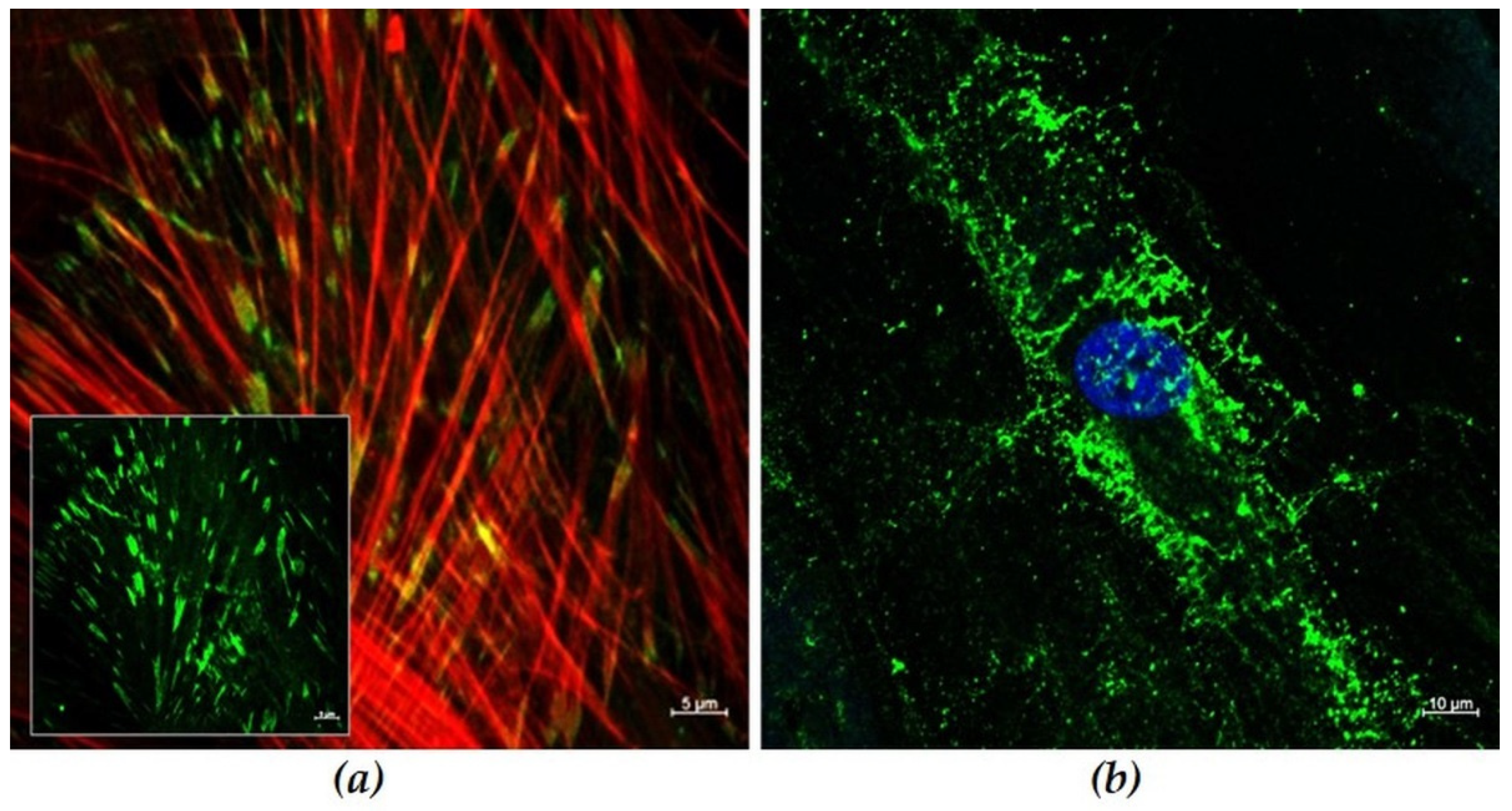 Materials 15 00732 g001