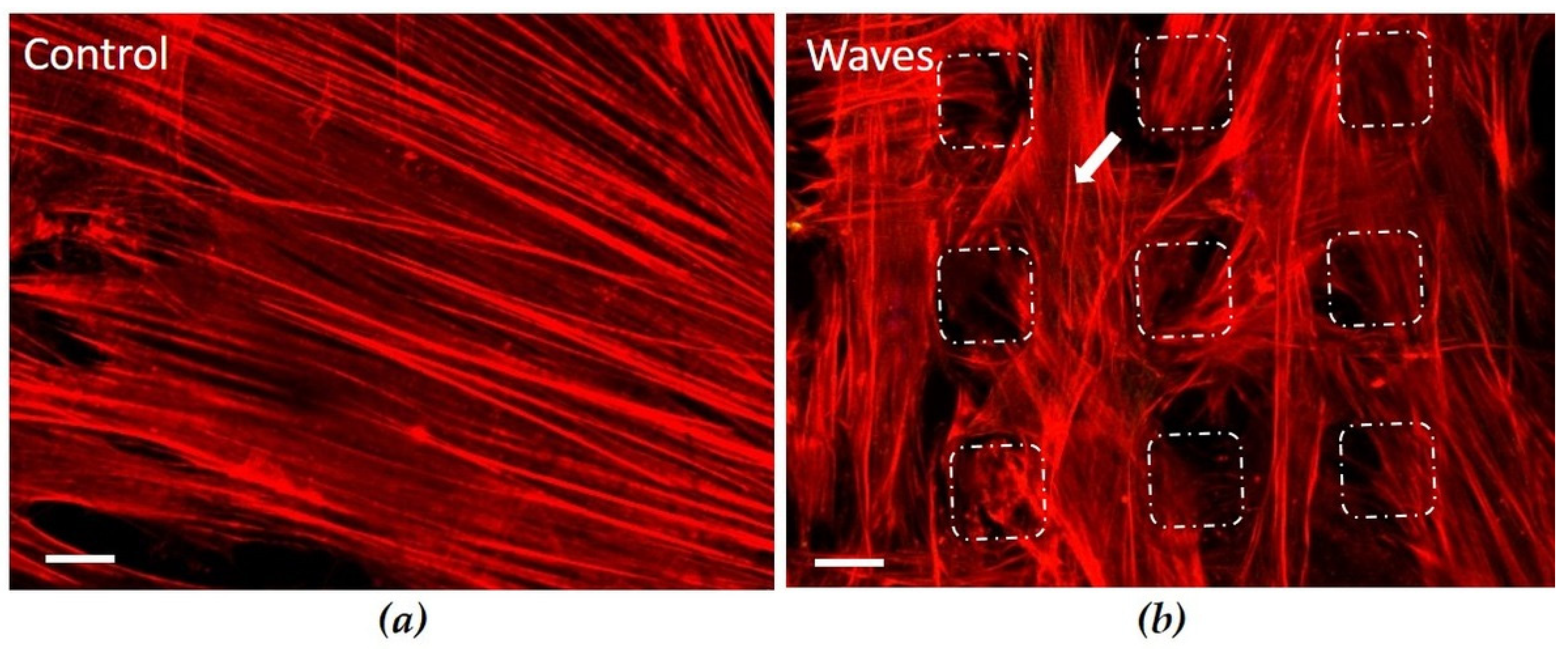 Materials 15 00732 g004