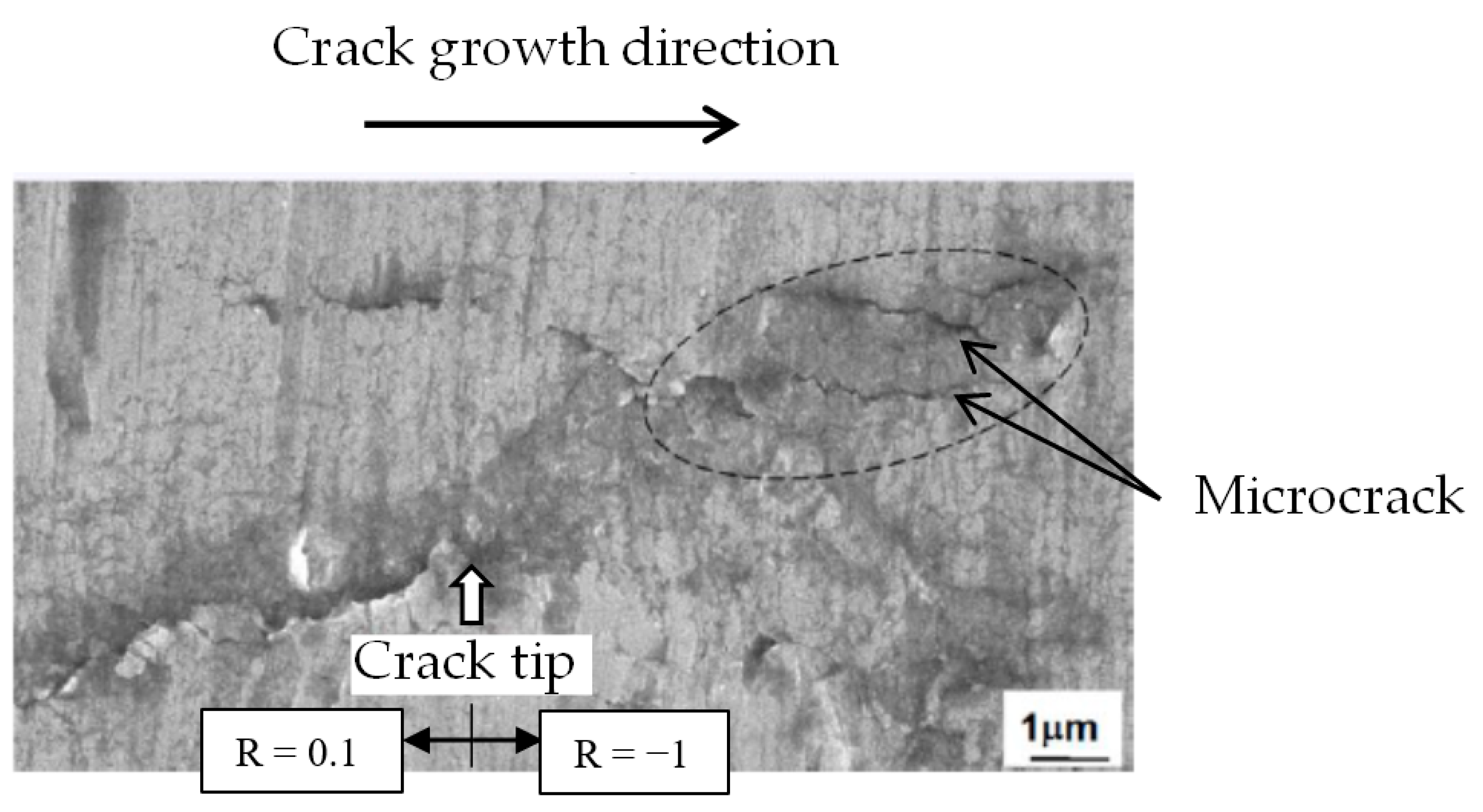 Materials 15 00755 g011