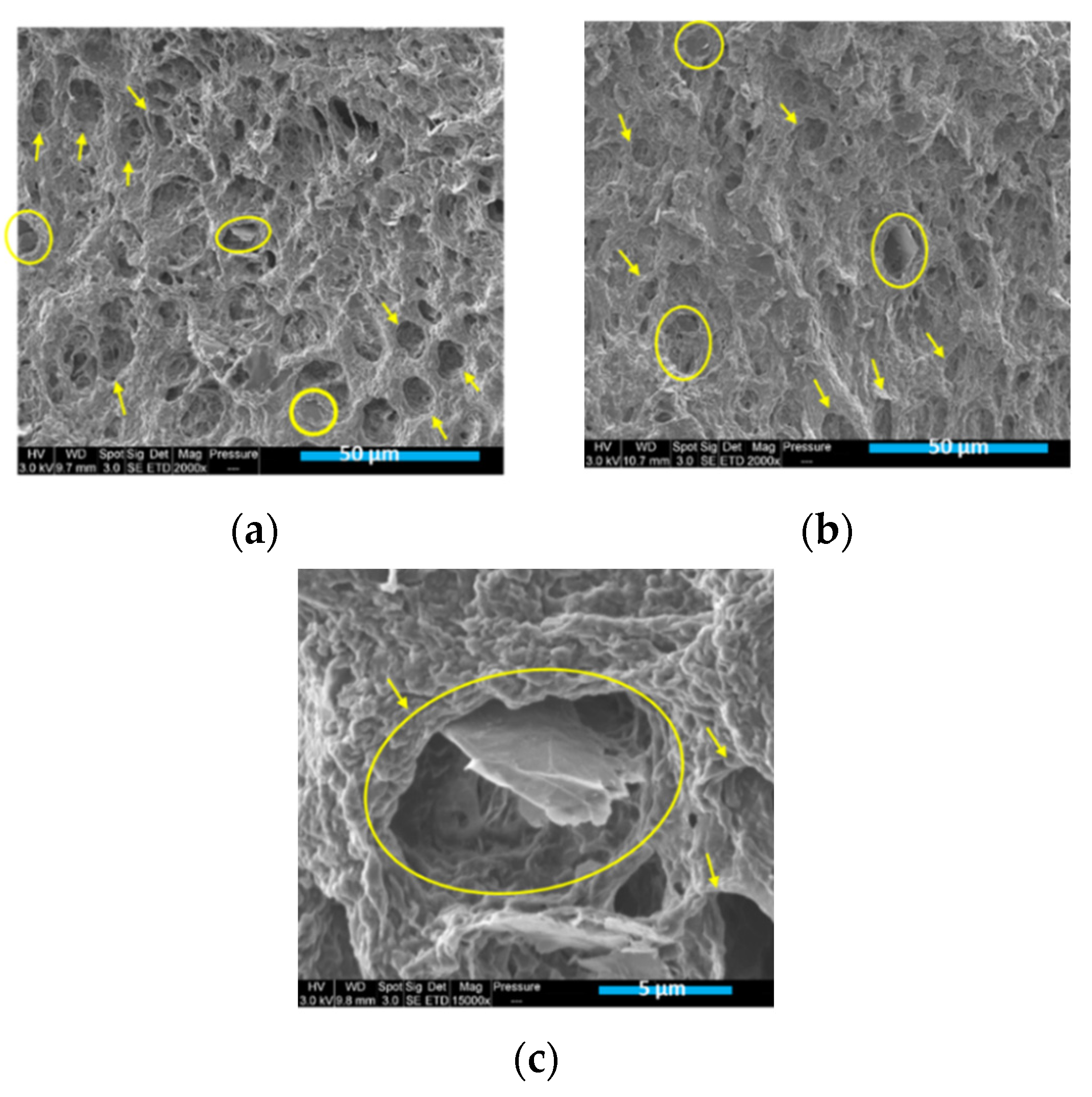 Materials 15 00762 g007 Materials 15 00762 g007