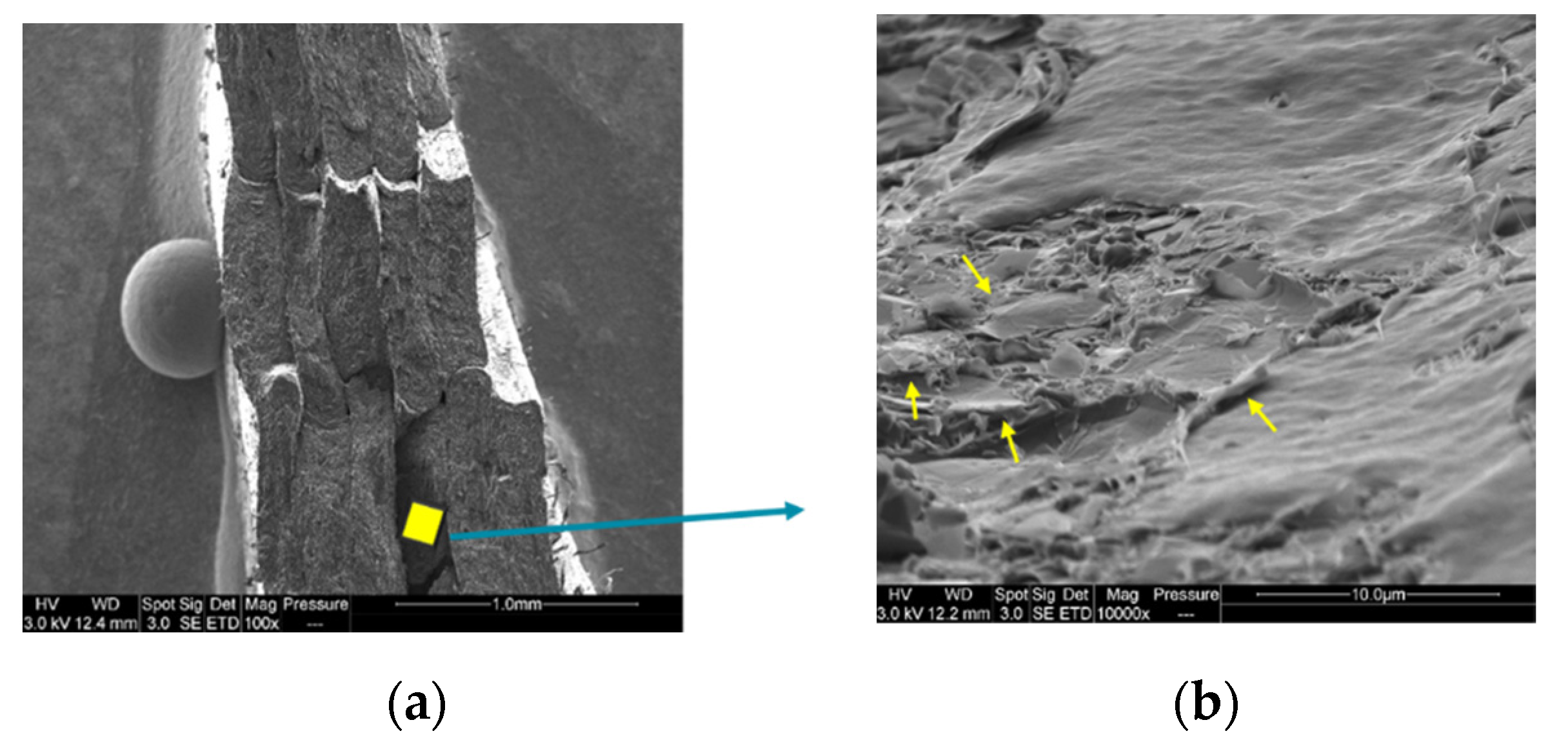 Materials 15 00762 g010a Materials 15 00762 g010a