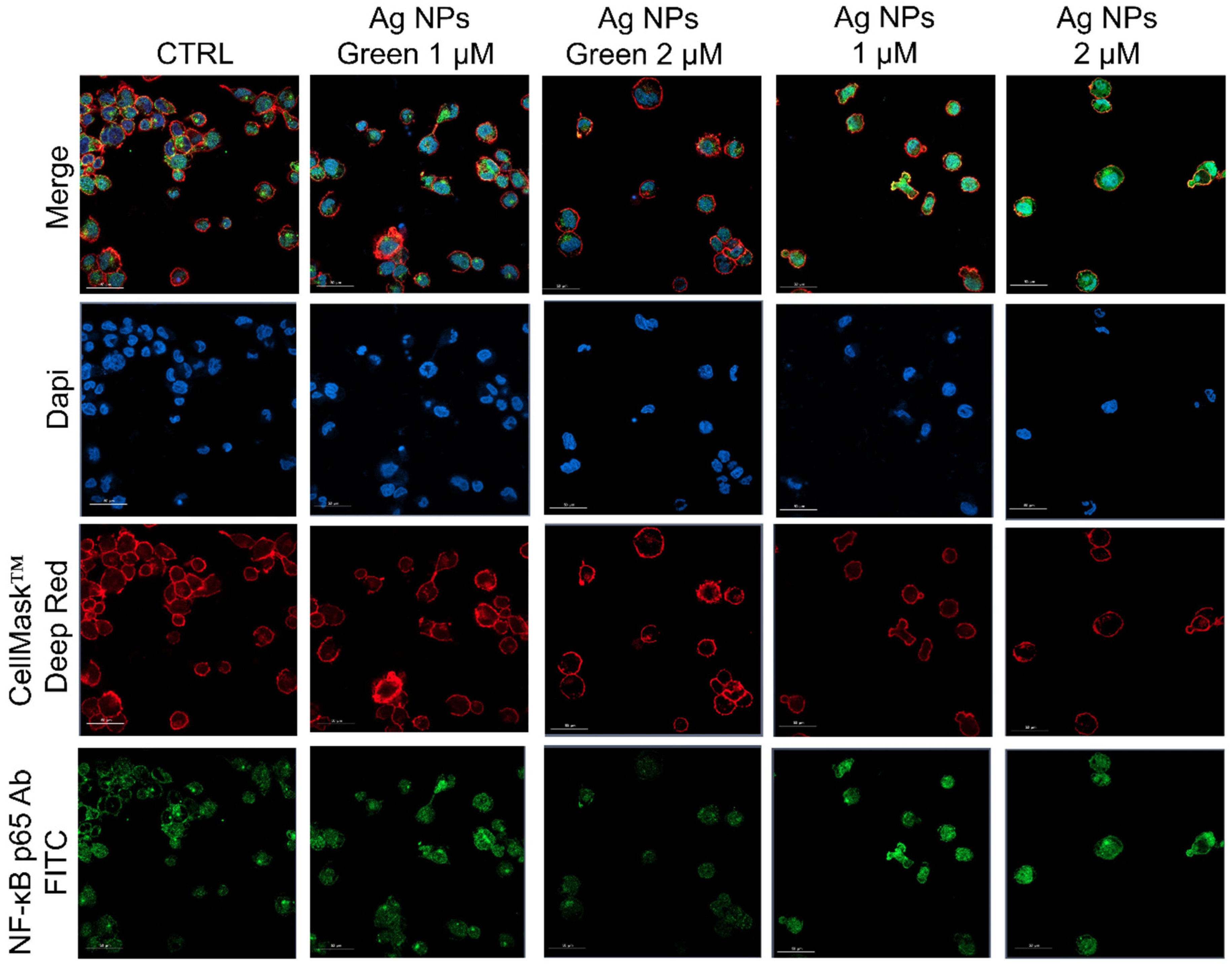 Materials 15 00775 g006