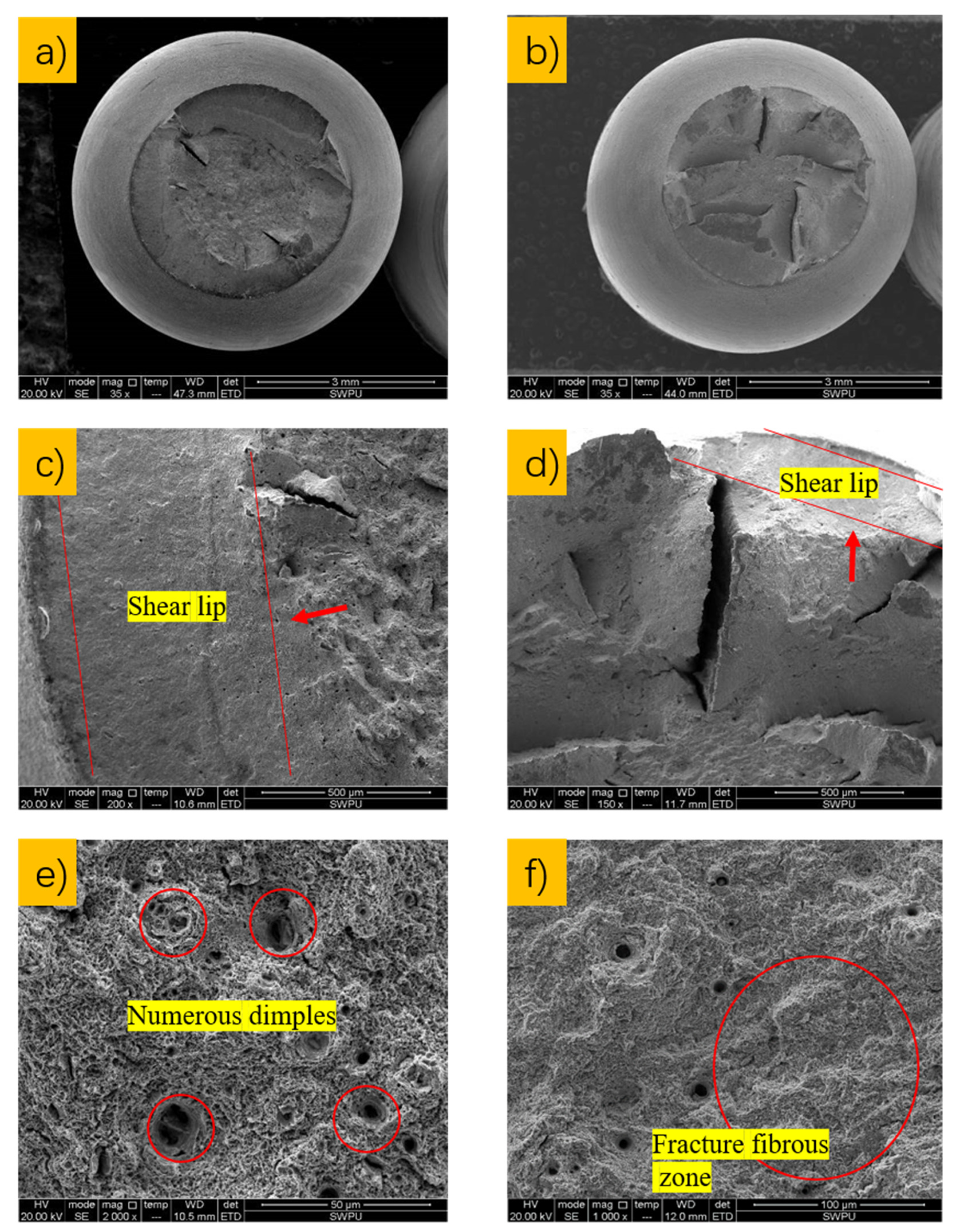 Materials 15 00801 g017