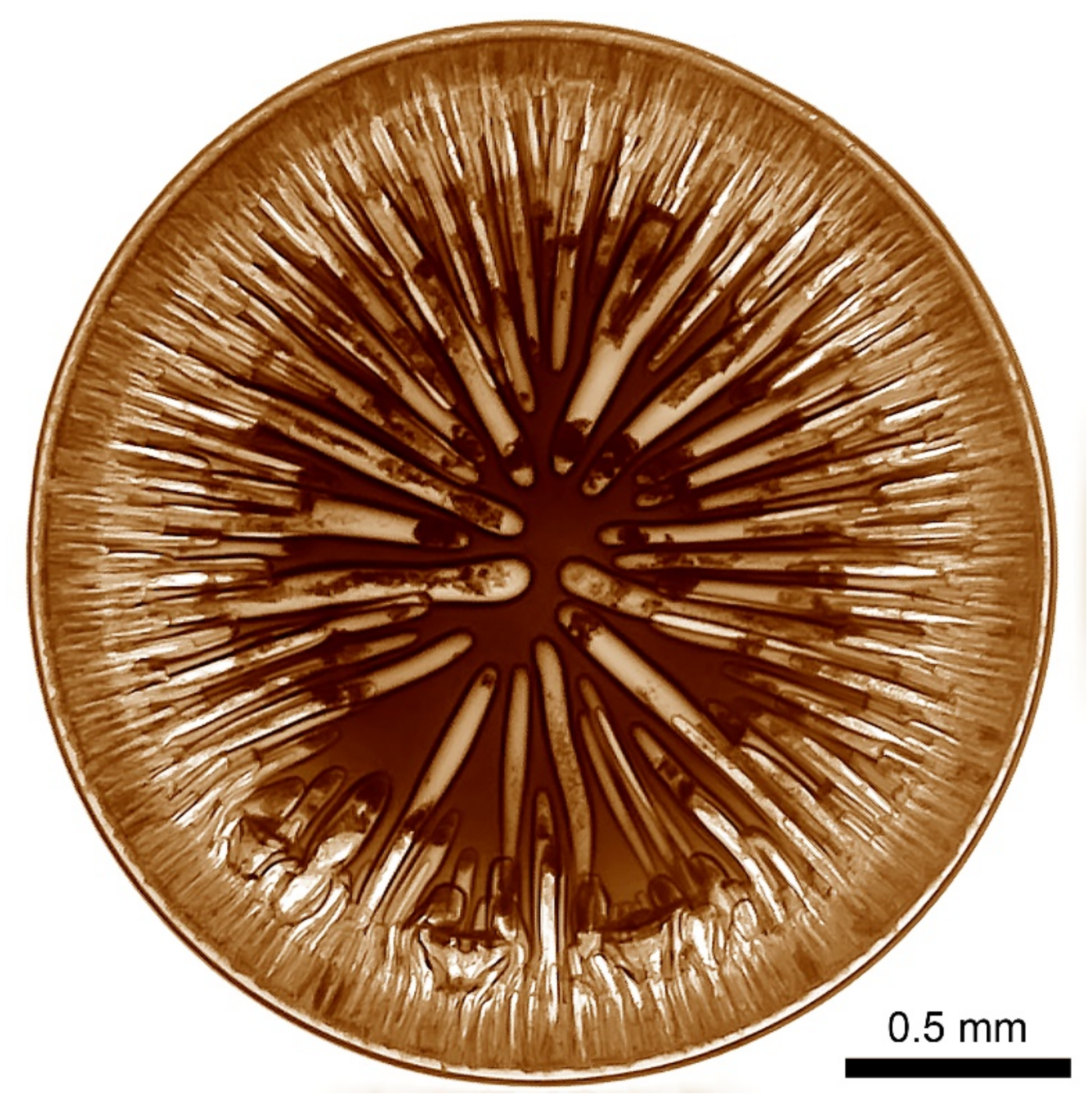 Materials 15 00808 g008