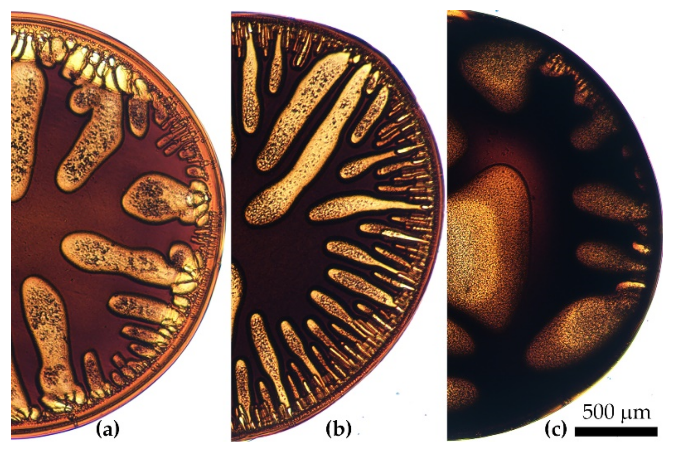 Materials 15 00808 g009